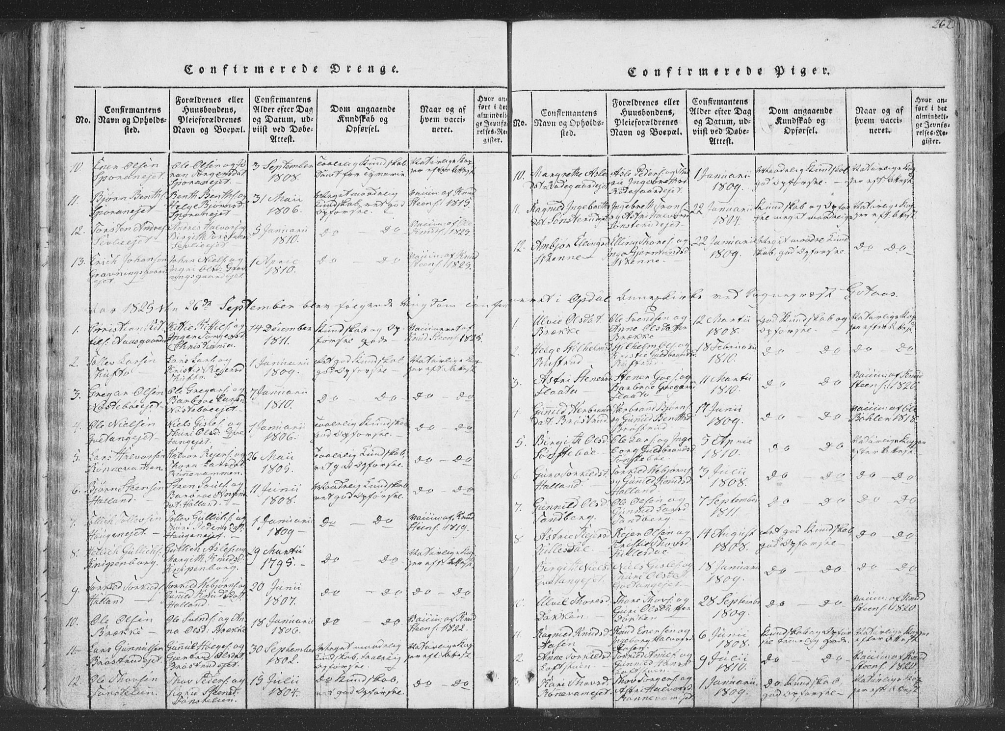 Rollag kirkebøker, SAKO/A-240/F/Fa/L0006: Parish register (official) no. I 6, 1814-1828, p. 262