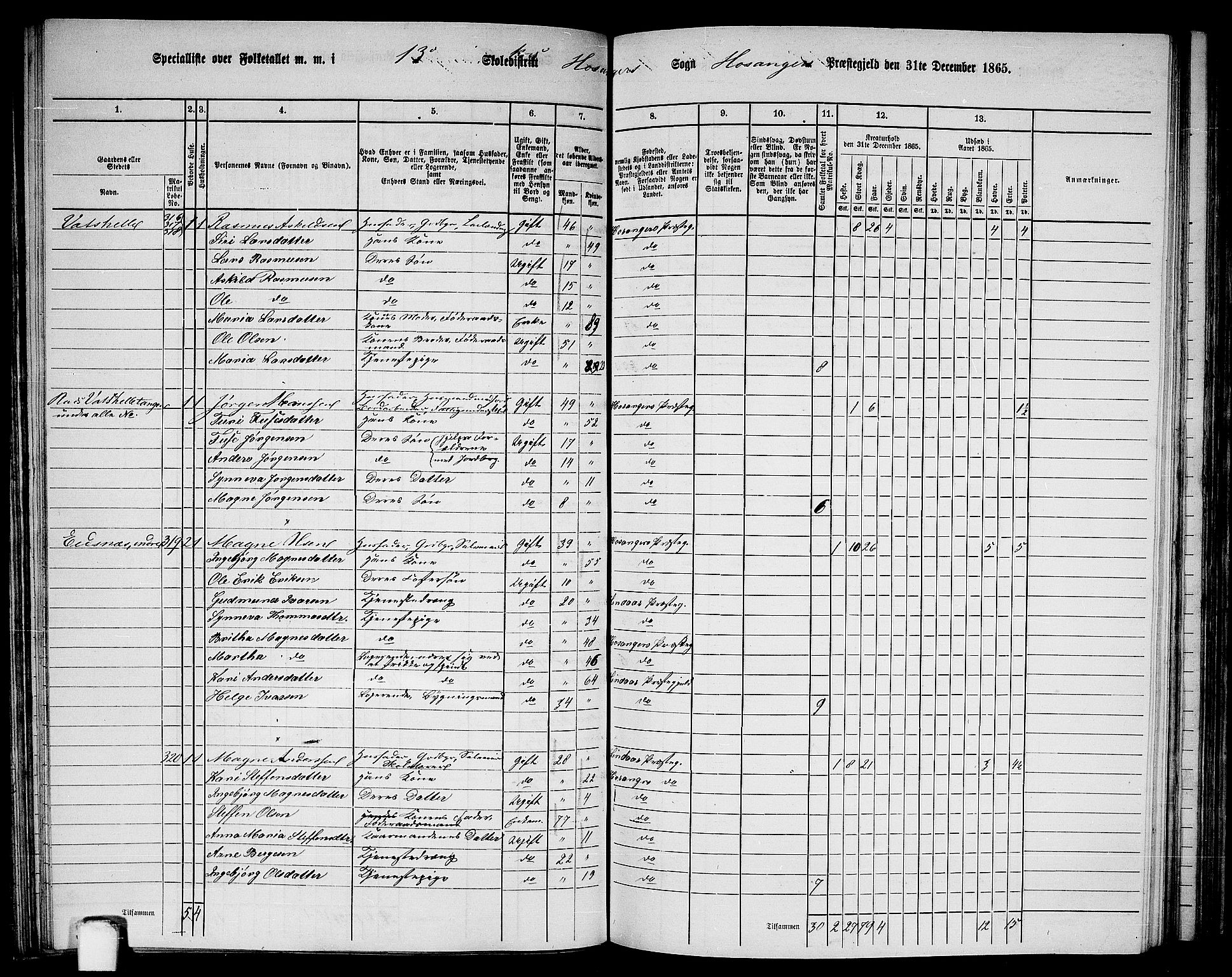 RA, 1865 census for Hosanger, 1865, p. 87