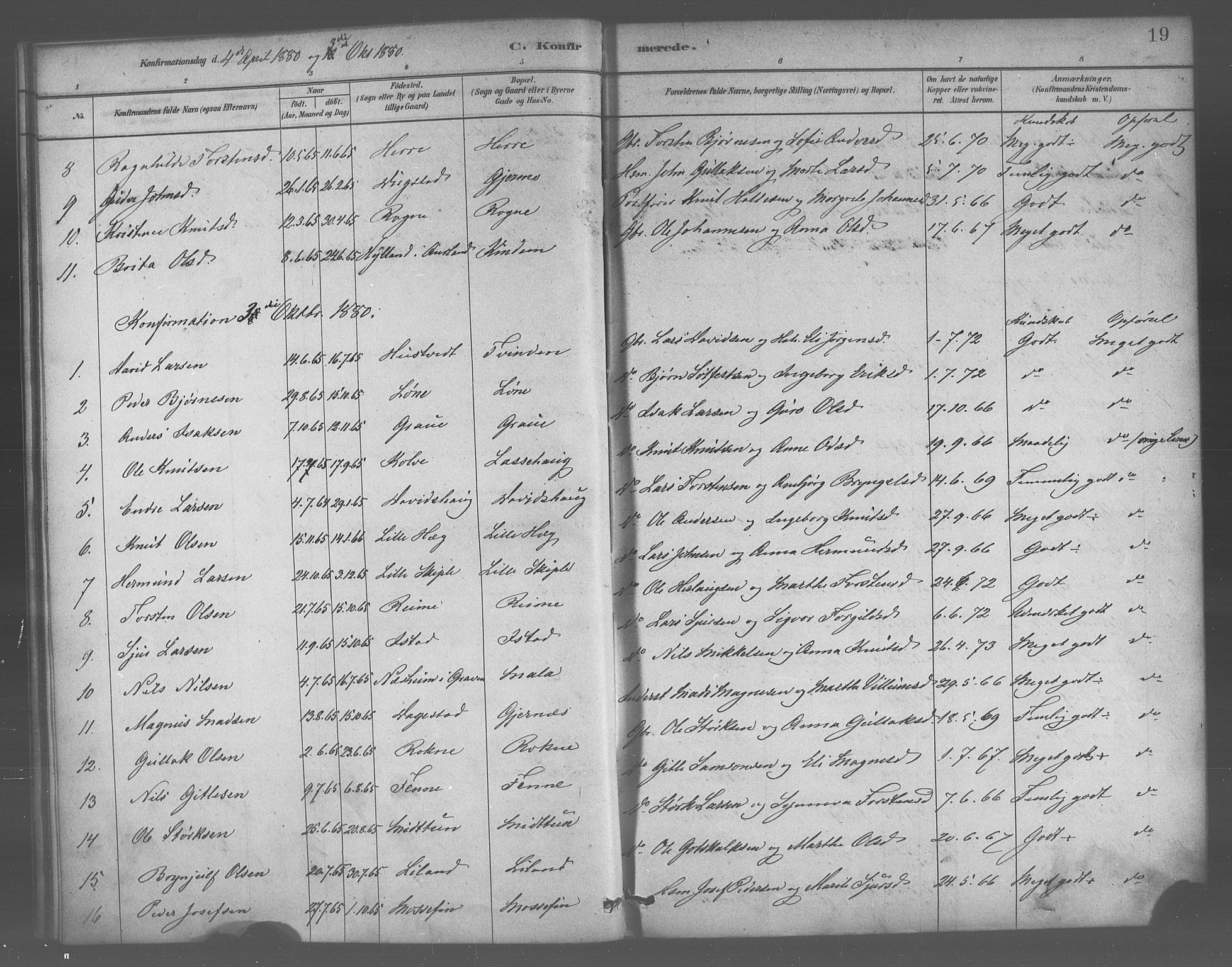 Voss sokneprestembete, AV/SAB-A-79001/H/Haa: Parish register (official) no. B 1, 1877-1899, p. 19