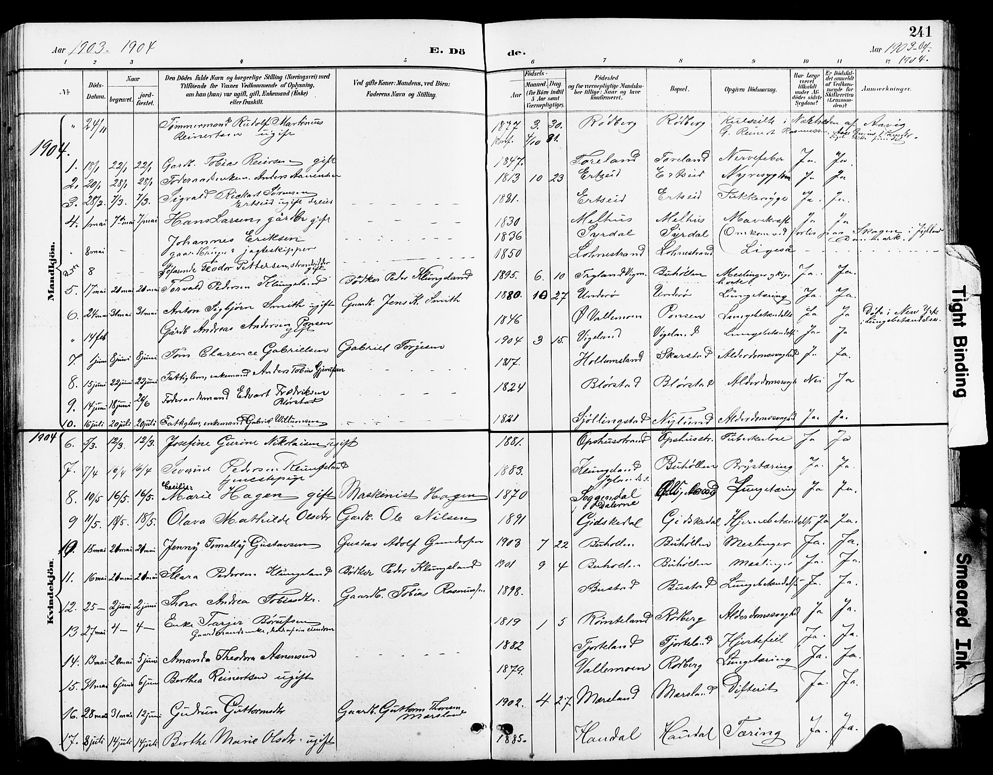 Sør-Audnedal sokneprestkontor, AV/SAK-1111-0039/F/Fb/Fbb/L0006: Parish register (copy) no. B 6, 1893-1915, p. 241