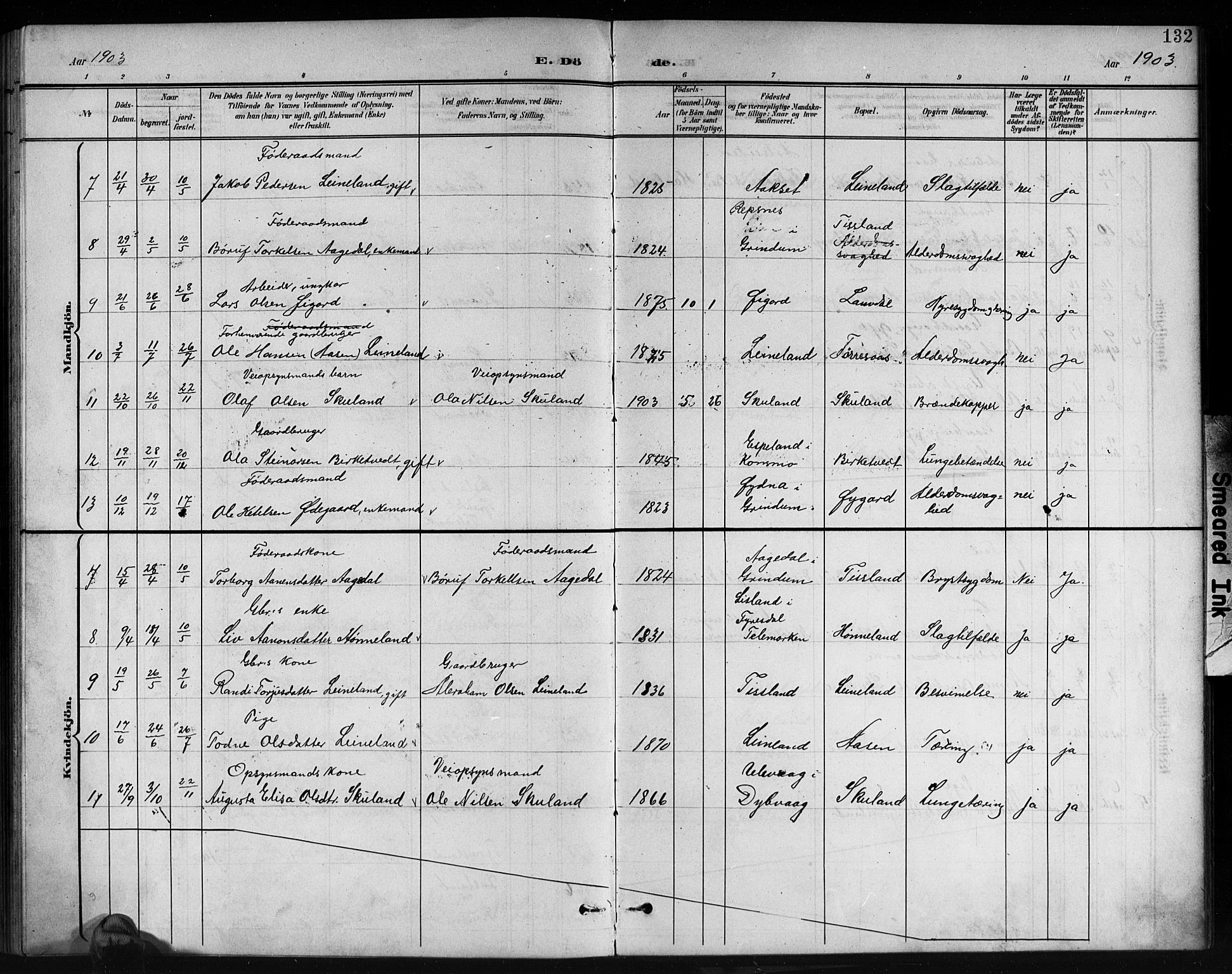 Holum sokneprestkontor, SAK/1111-0022/F/Fb/Fbb/L0004: Parish register (copy) no. B 4, 1899-1920, p. 132