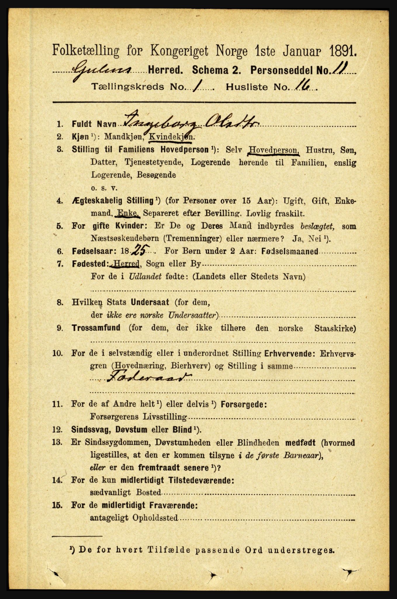 RA, 1891 census for 1411 Gulen, 1891, p. 210