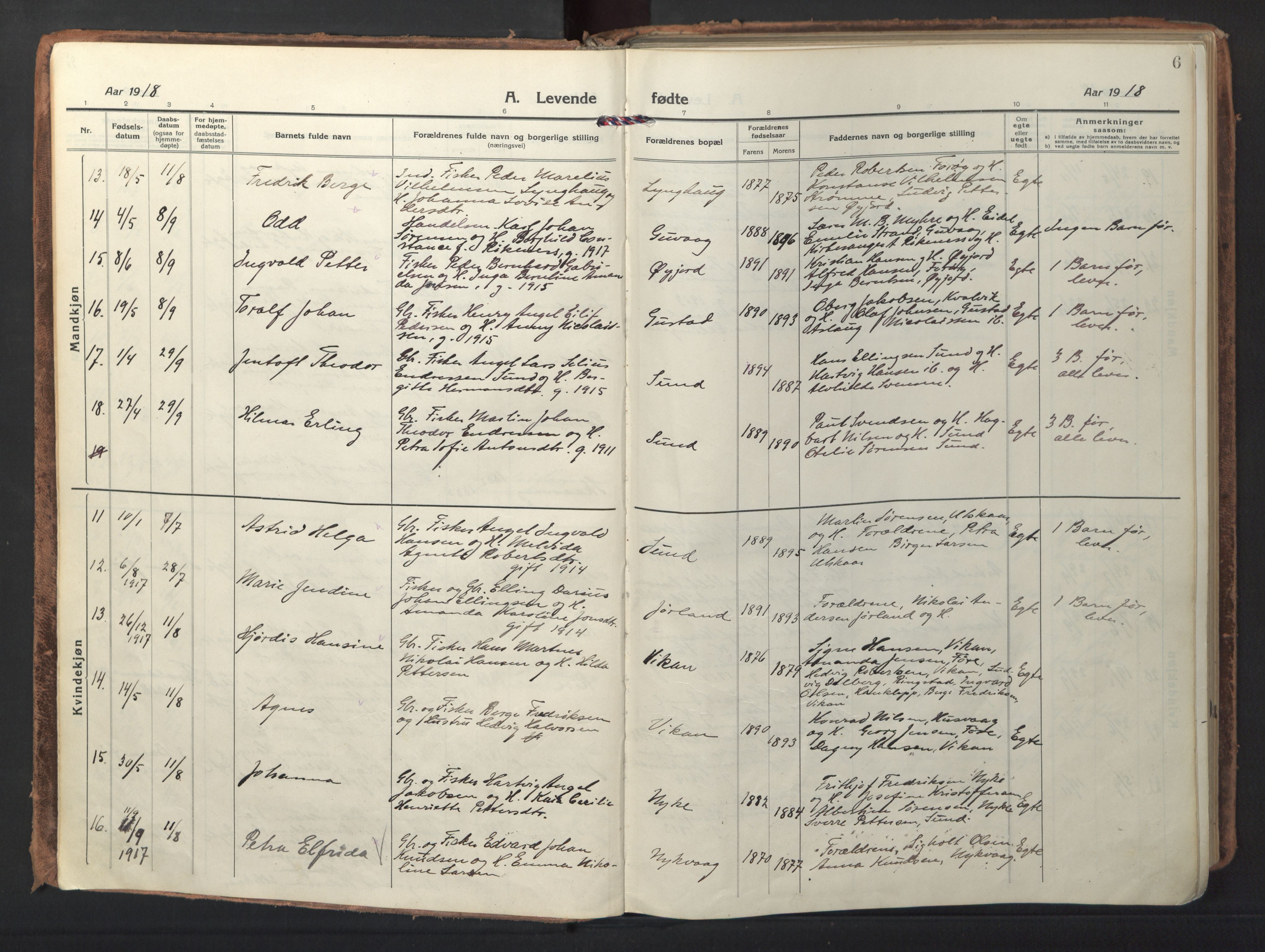 Ministerialprotokoller, klokkerbøker og fødselsregistre - Nordland, AV/SAT-A-1459/892/L1323: Parish register (official) no. 892A04, 1917-1934, p. 6