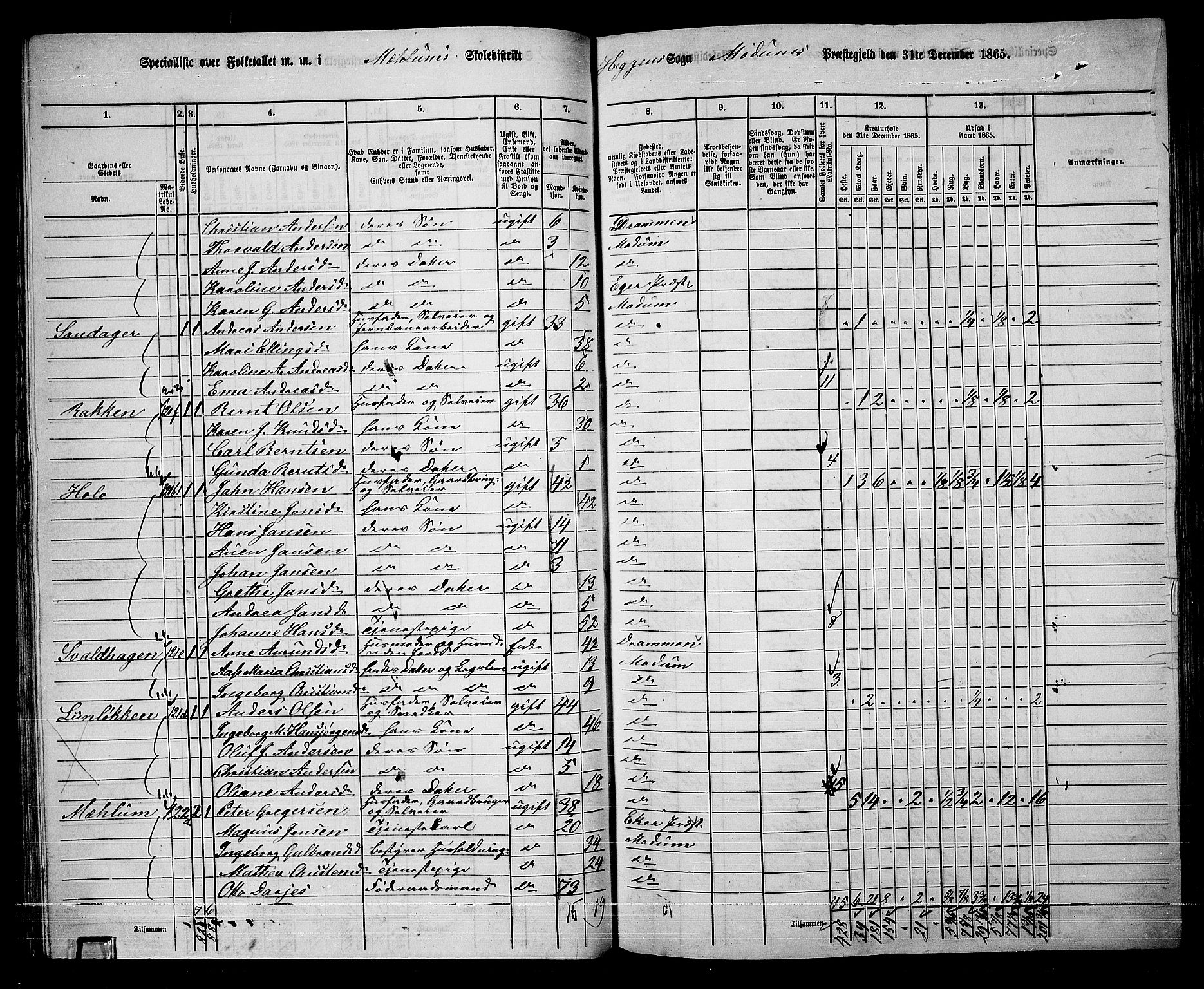 RA, 1865 census for Modum, 1865, p. 81