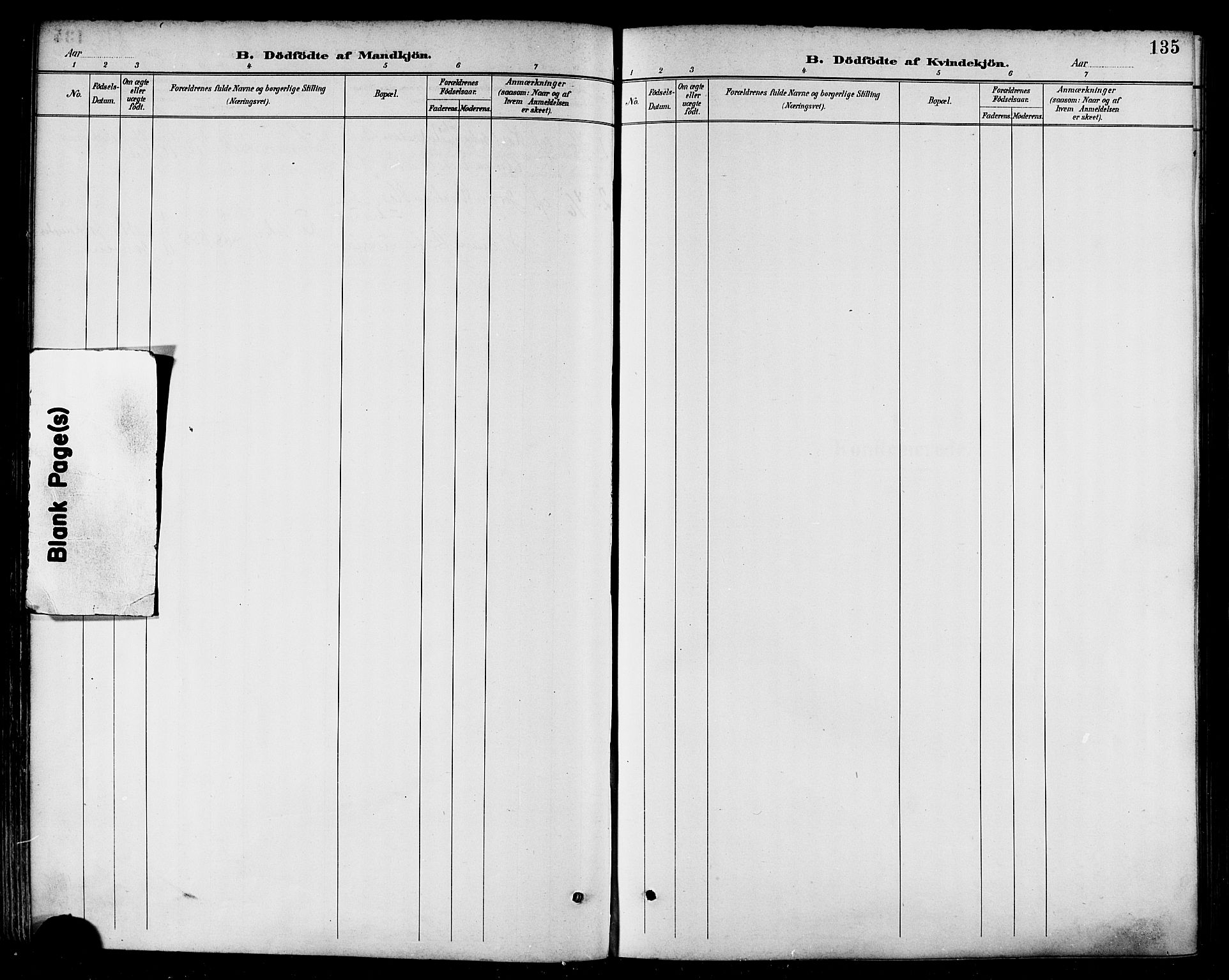 Ministerialprotokoller, klokkerbøker og fødselsregistre - Nordland, AV/SAT-A-1459/874/L1060: Parish register (official) no. 874A04, 1890-1899, p. 135