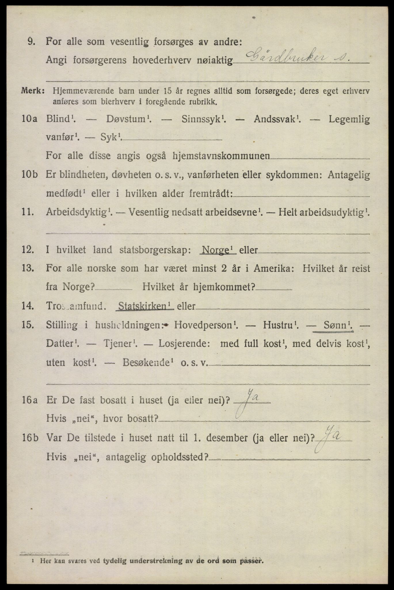 SAKO, 1920 census for Våle, 1920, p. 5385