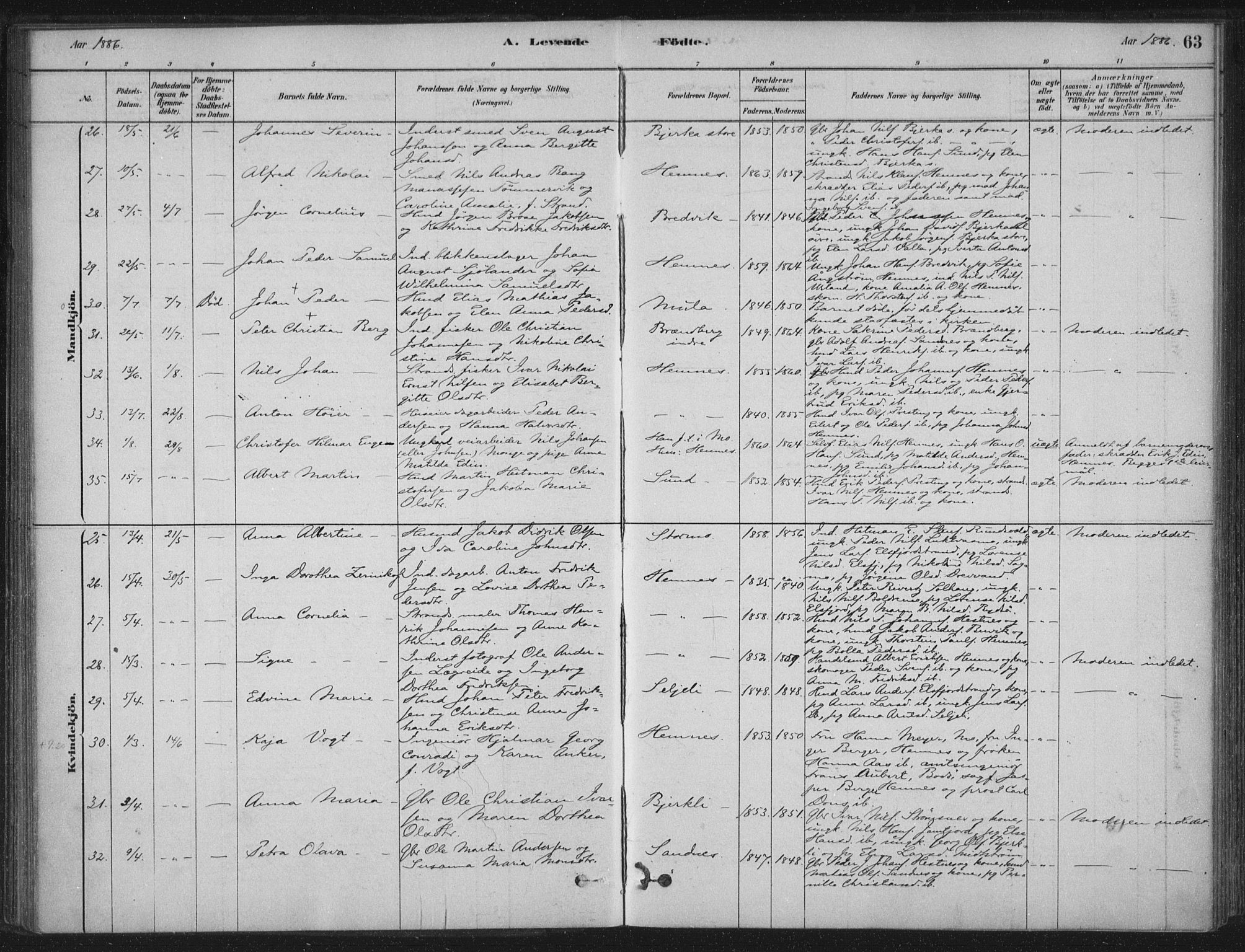 Ministerialprotokoller, klokkerbøker og fødselsregistre - Nordland, AV/SAT-A-1459/825/L0361: Parish register (official) no. 825A15, 1878-1893, p. 63