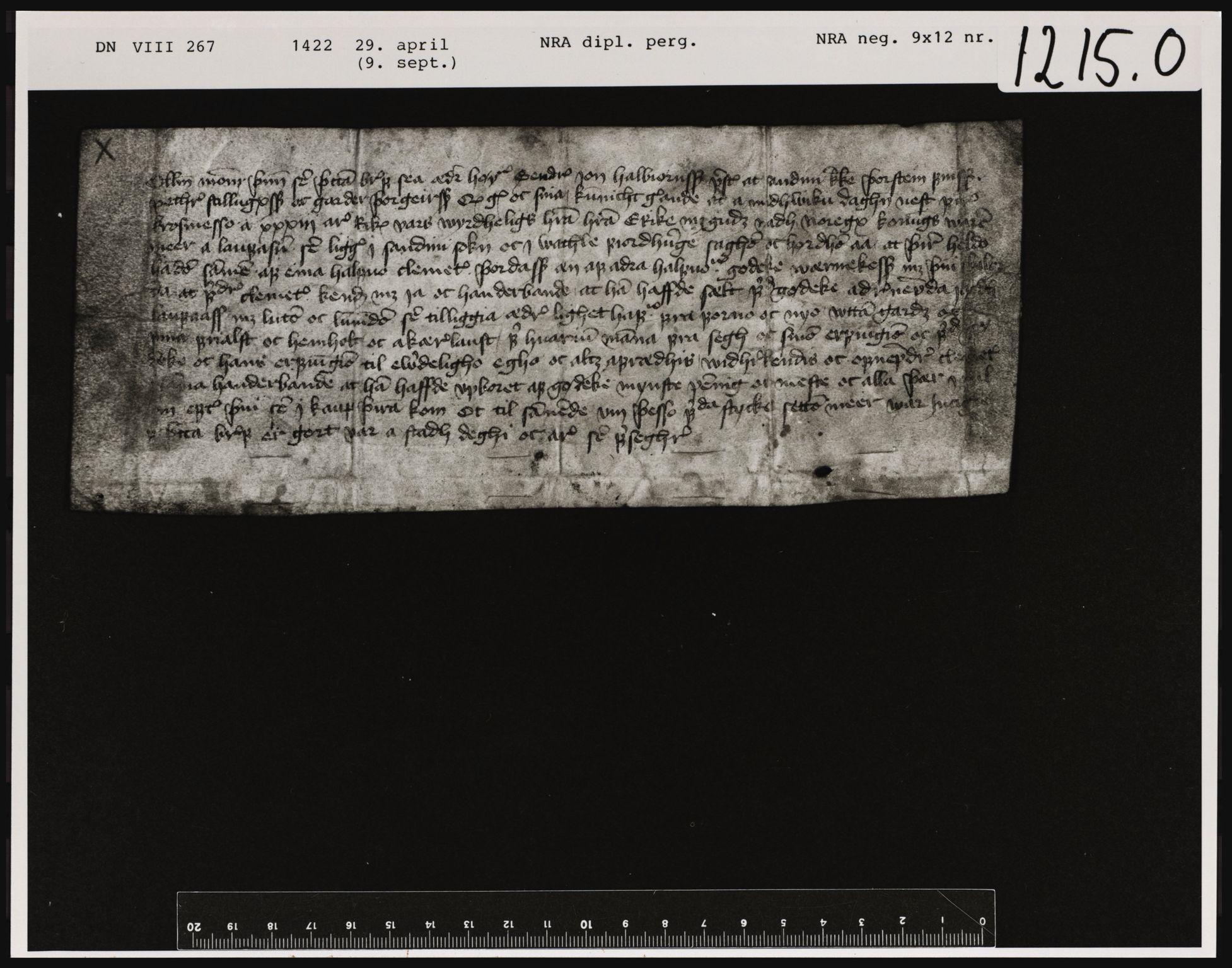 Riksarkivets diplomsamling, AV/RA-EA-5965/F01/F01a/L0288: Dokumenter, 1422, p. 4