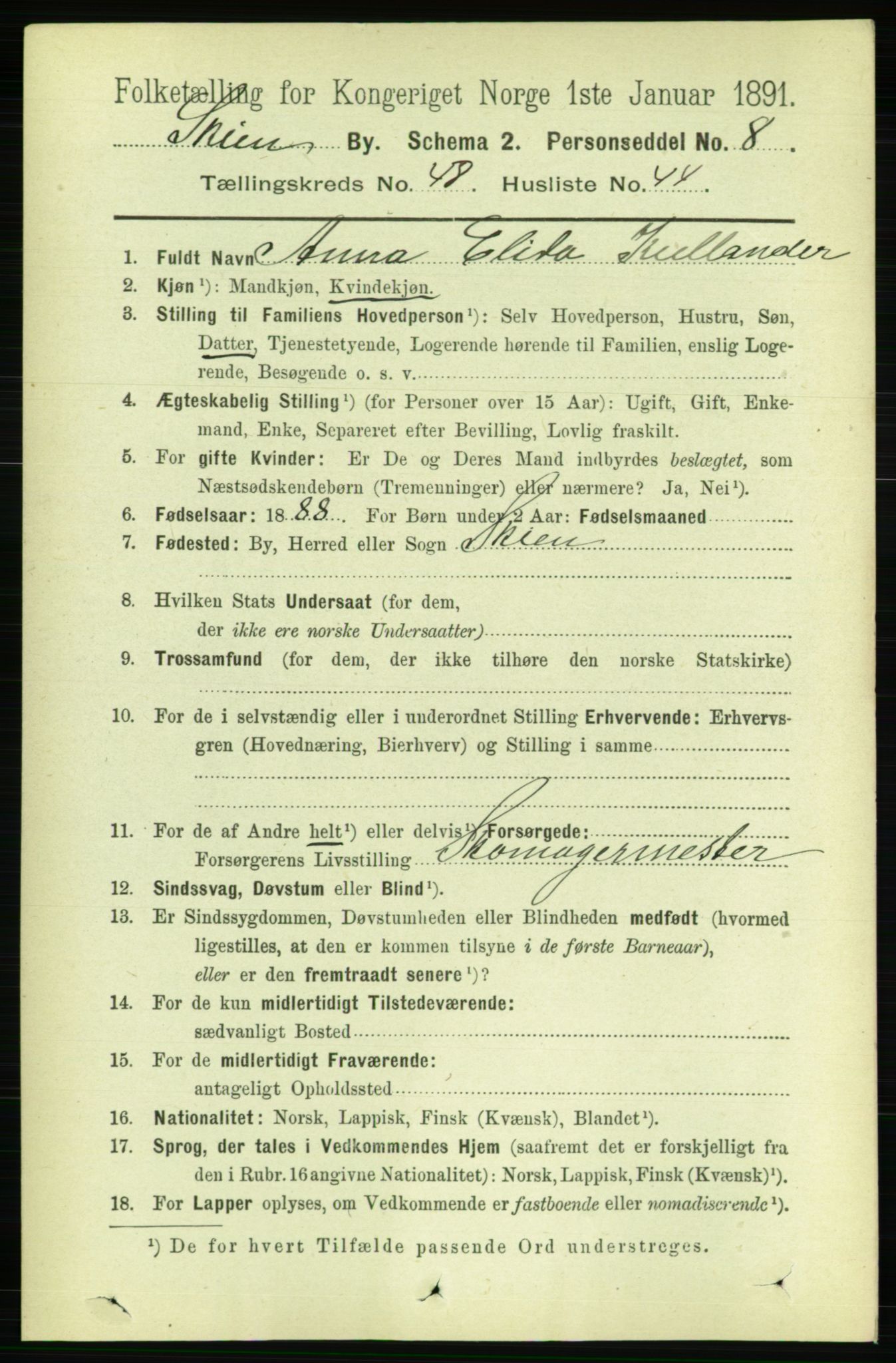 RA, 1891 census for 0806 Skien, 1891, p. 10209