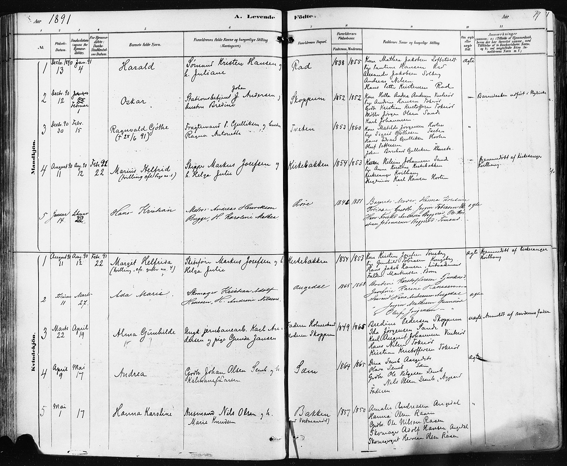 Borre kirkebøker, SAKO/A-338/F/Fa/L0009: Parish register (official) no. I 9, 1878-1896, p. 79
