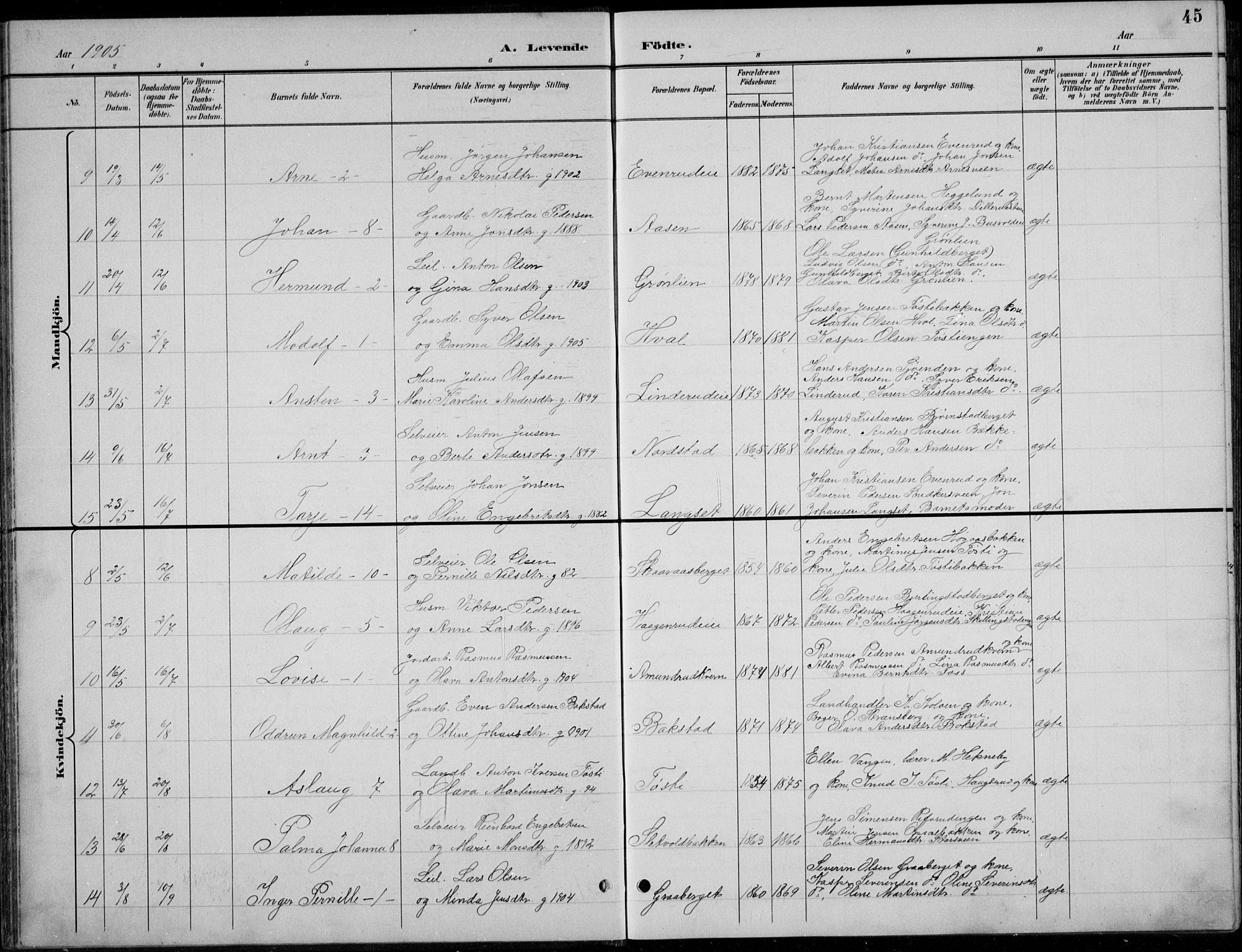 Romedal prestekontor, AV/SAH-PREST-004/L/L0013: Parish register (copy) no. 13, 1896-1937, p. 45