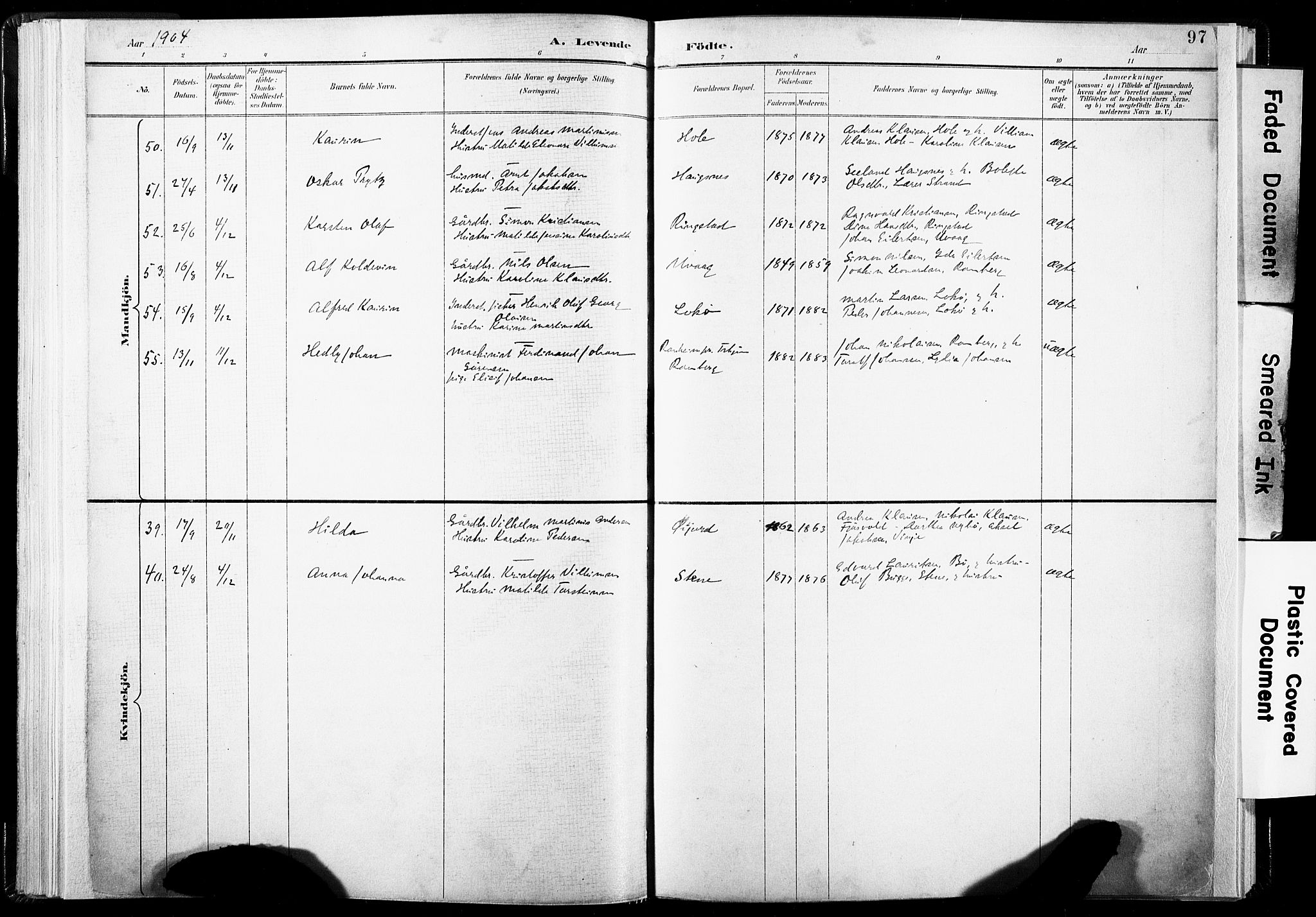 Ministerialprotokoller, klokkerbøker og fødselsregistre - Nordland, AV/SAT-A-1459/891/L1304: Parish register (official) no. 891A09, 1895-1921, p. 97