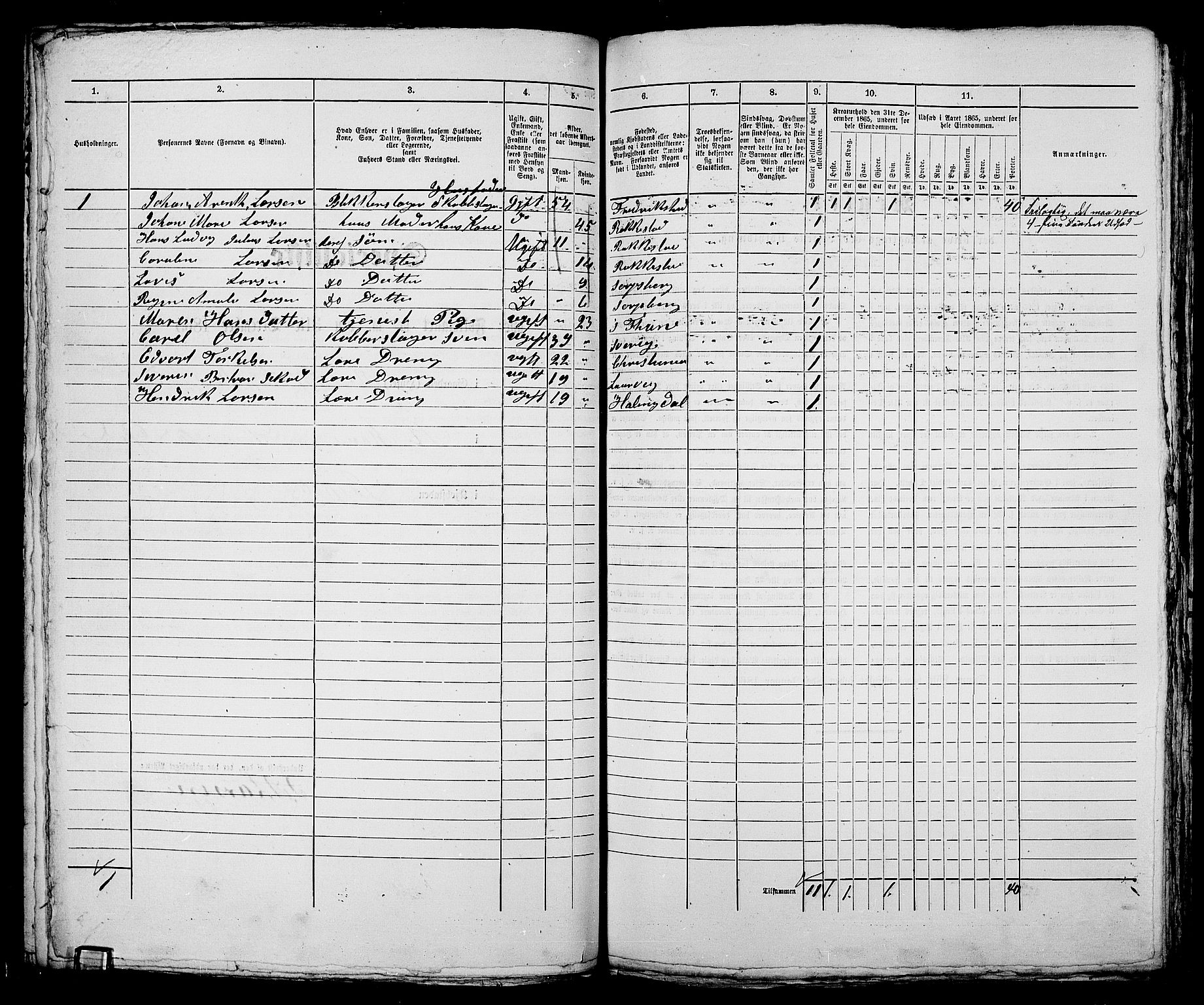 RA, 1865 census for Sarpsborg, 1865, p. 252