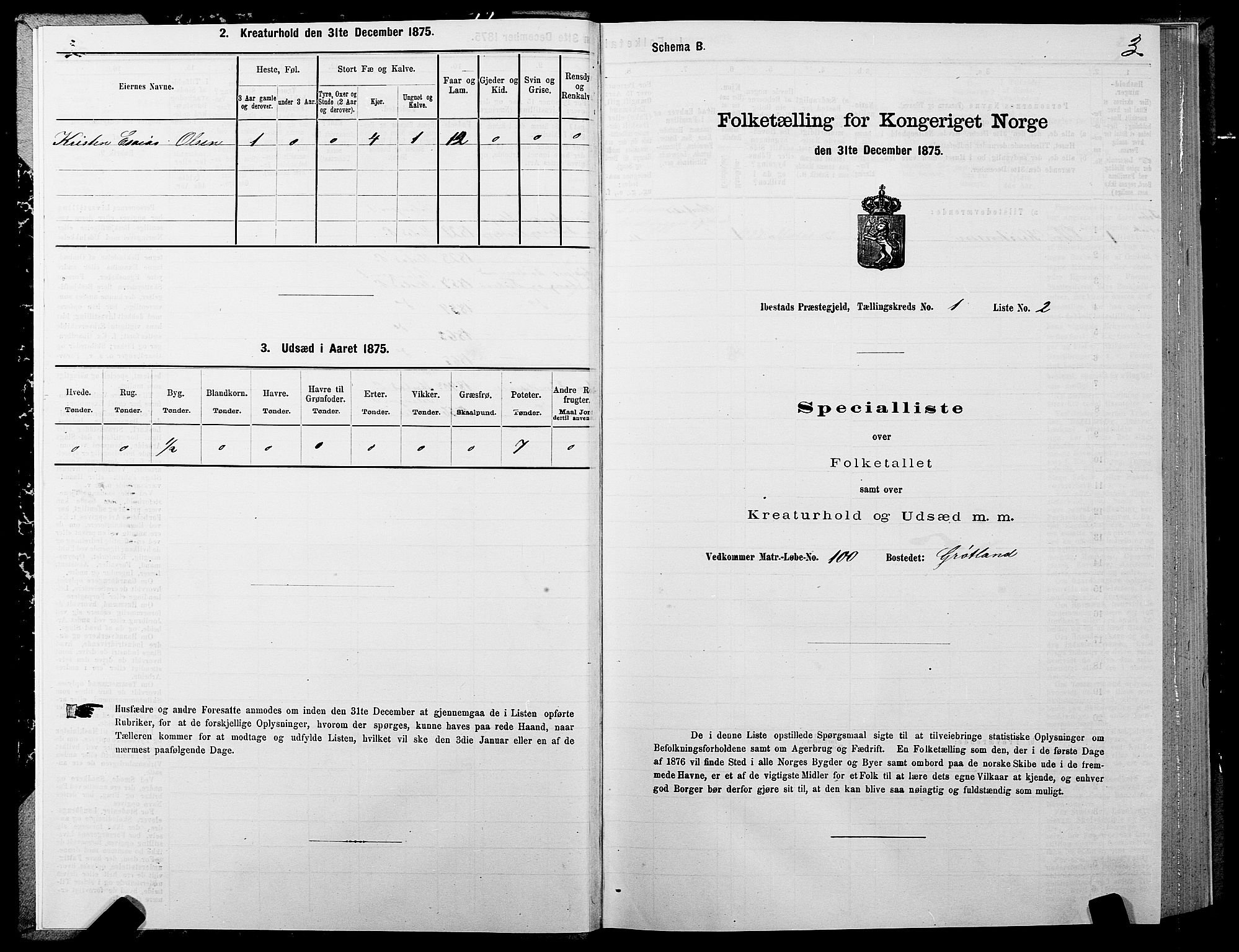 SATØ, 1875 census for 1917P Ibestad, 1875, p. 1003