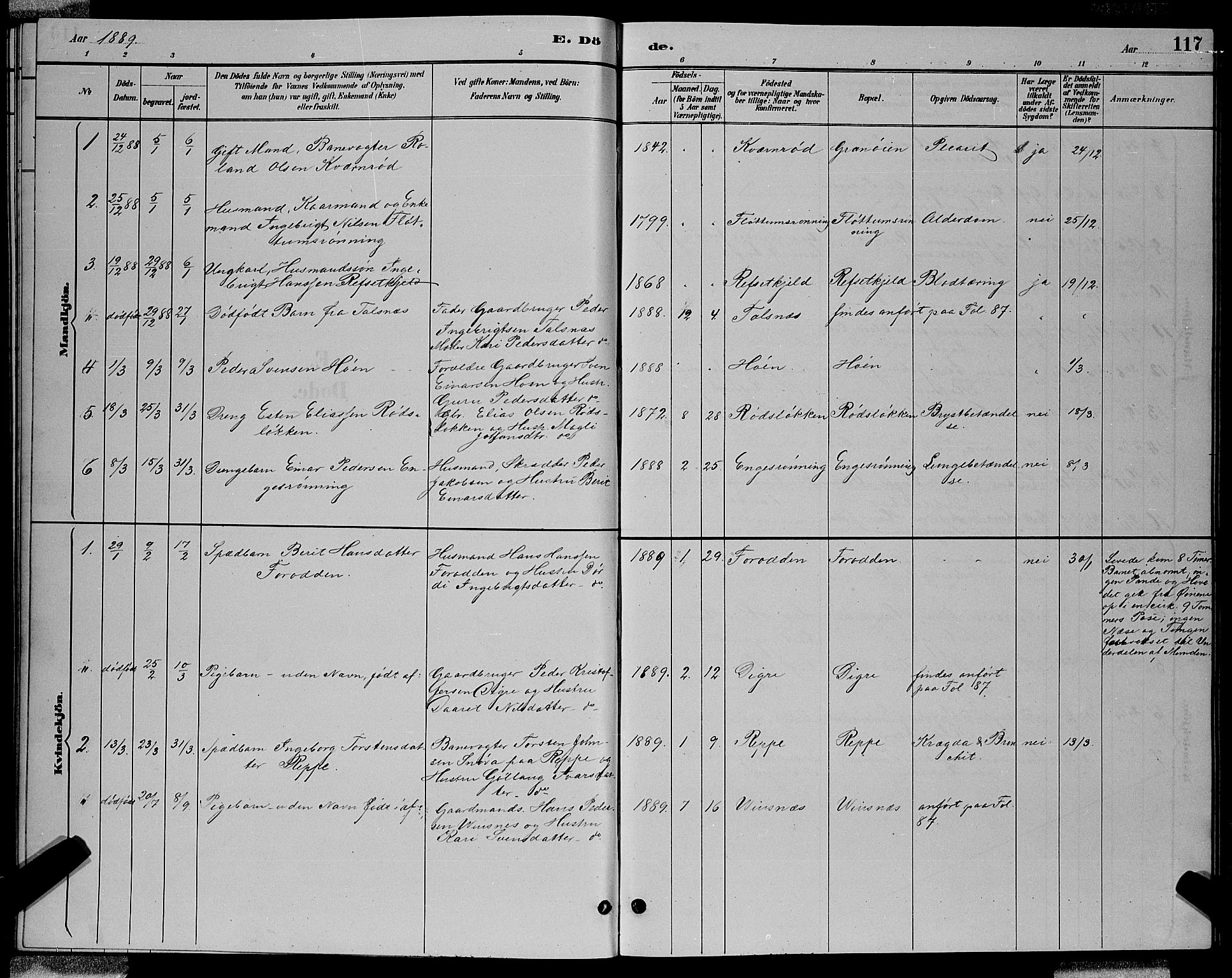 Ministerialprotokoller, klokkerbøker og fødselsregistre - Sør-Trøndelag, SAT/A-1456/688/L1028: Parish register (copy) no. 688C03, 1889-1899, p. 117