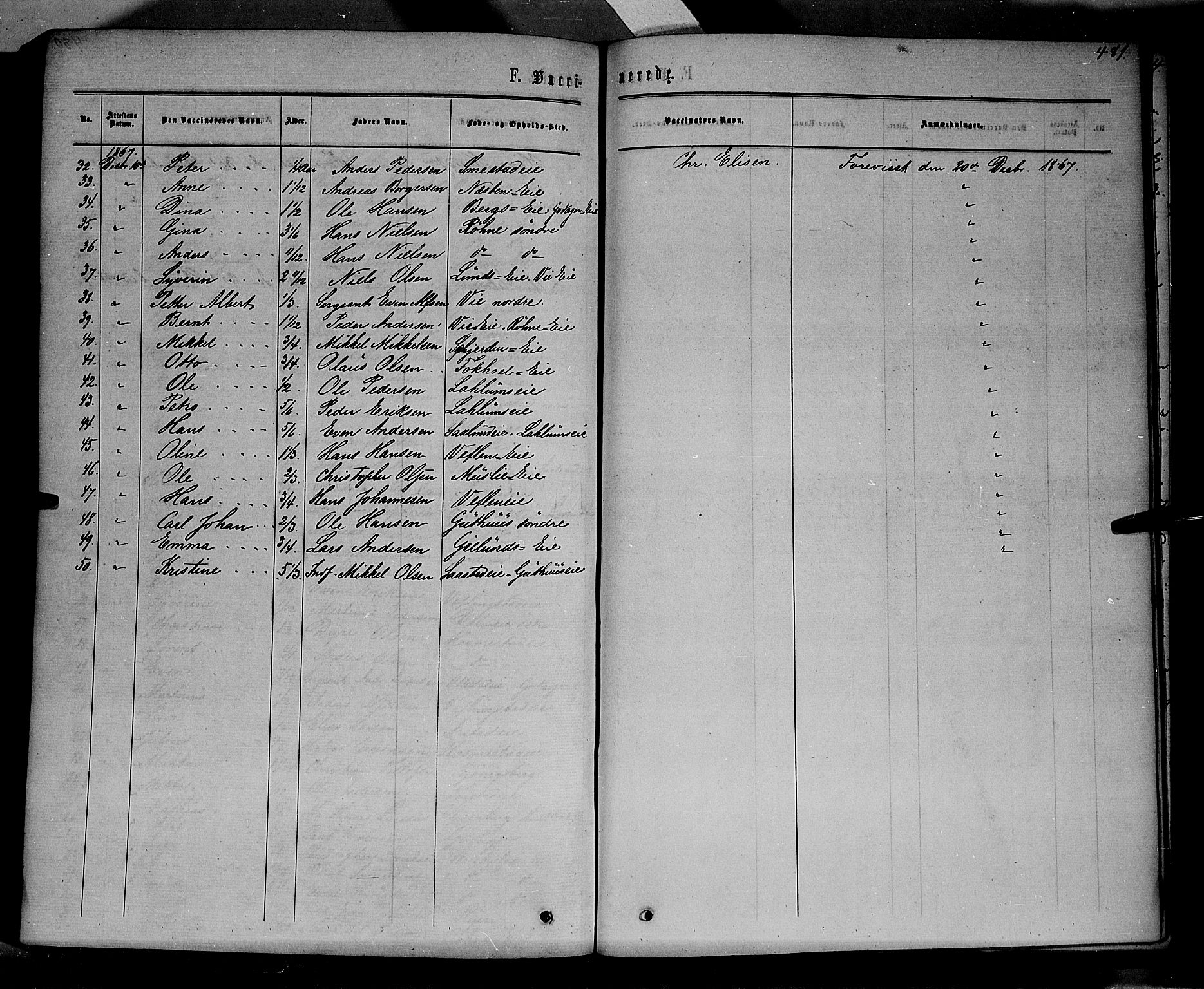 Stange prestekontor, AV/SAH-PREST-002/K/L0013: Parish register (official) no. 13, 1862-1879, p. 481