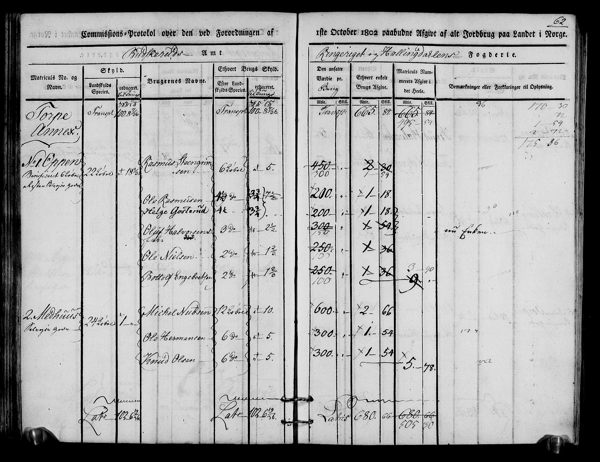 Rentekammeret inntil 1814, Realistisk ordnet avdeling, RA/EA-4070/N/Ne/Nea/L0048: Ringerike og Hallingdal fogderi. Kommisjonsprotokoll for Ål prestegjeld, 1803, p. 66