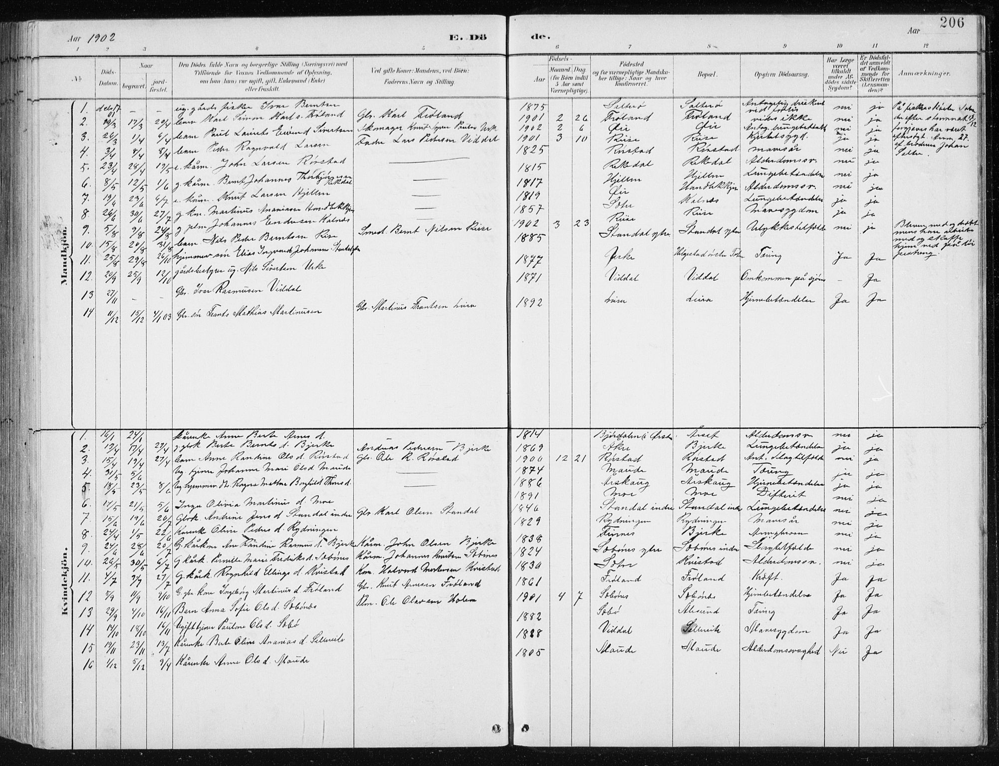 Ministerialprotokoller, klokkerbøker og fødselsregistre - Møre og Romsdal, AV/SAT-A-1454/515/L0215: Parish register (copy) no. 515C02, 1884-1906, p. 206