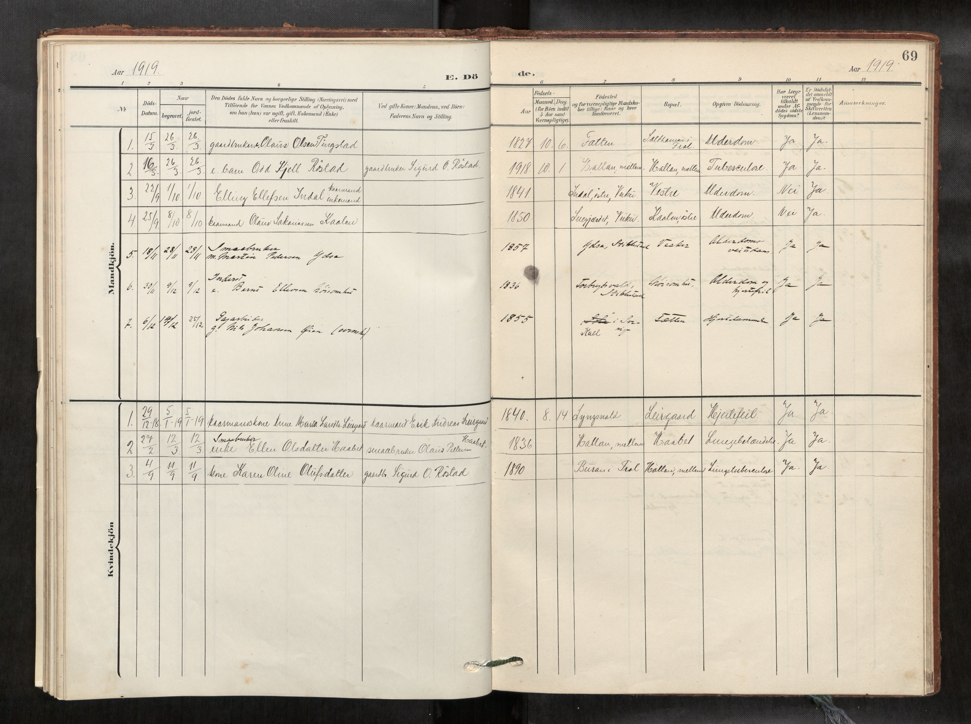Verdal sokneprestkontor, SAT/A-1156/2/H/Haa/L0003: Parish register (official) no. 3, 1907-1921, p. 69