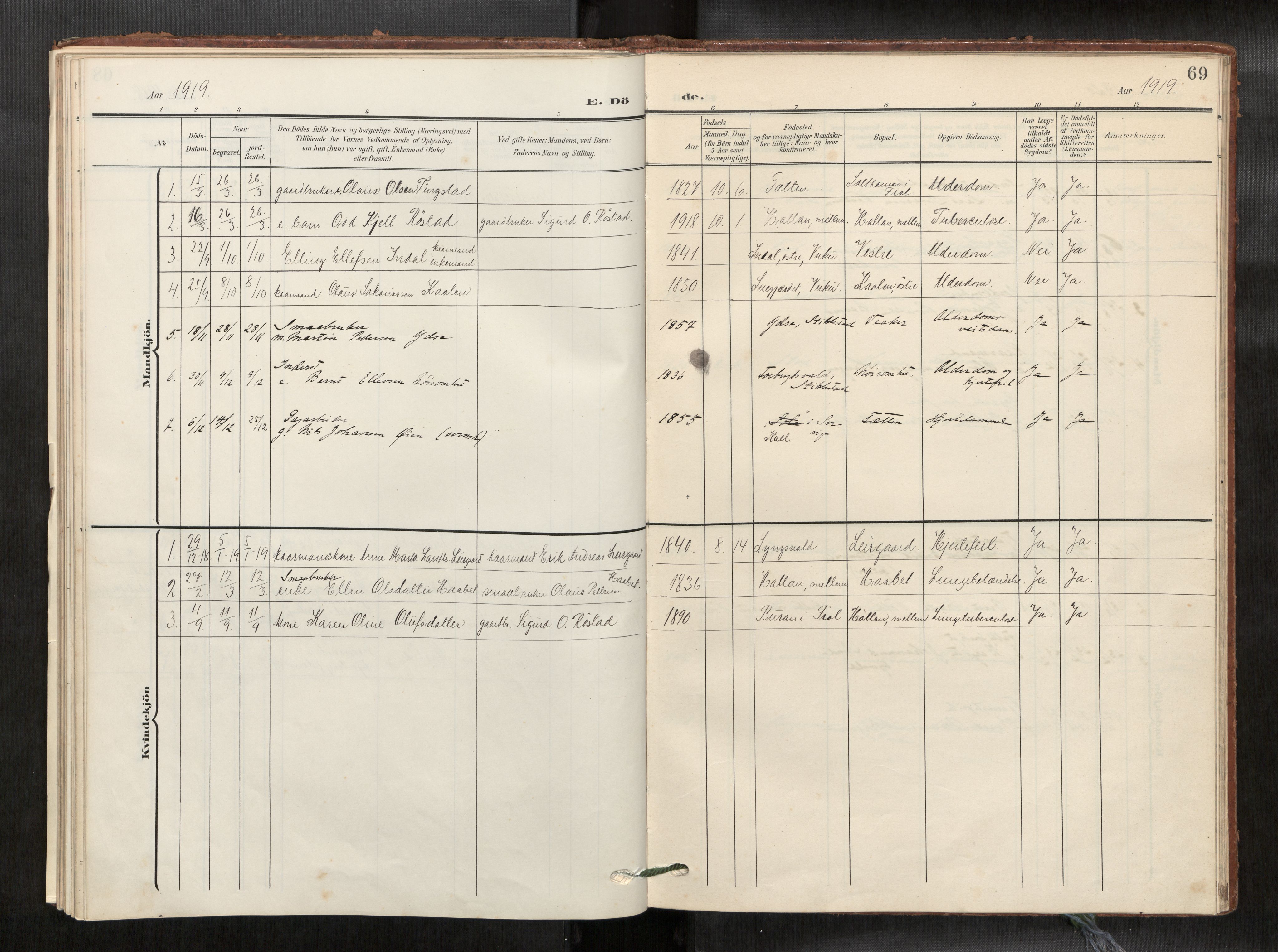 Verdal sokneprestkontor, AV/SAT-A-1156/2/H/Haa/L0003: Parish register (official) no. 3, 1907-1921, p. 69