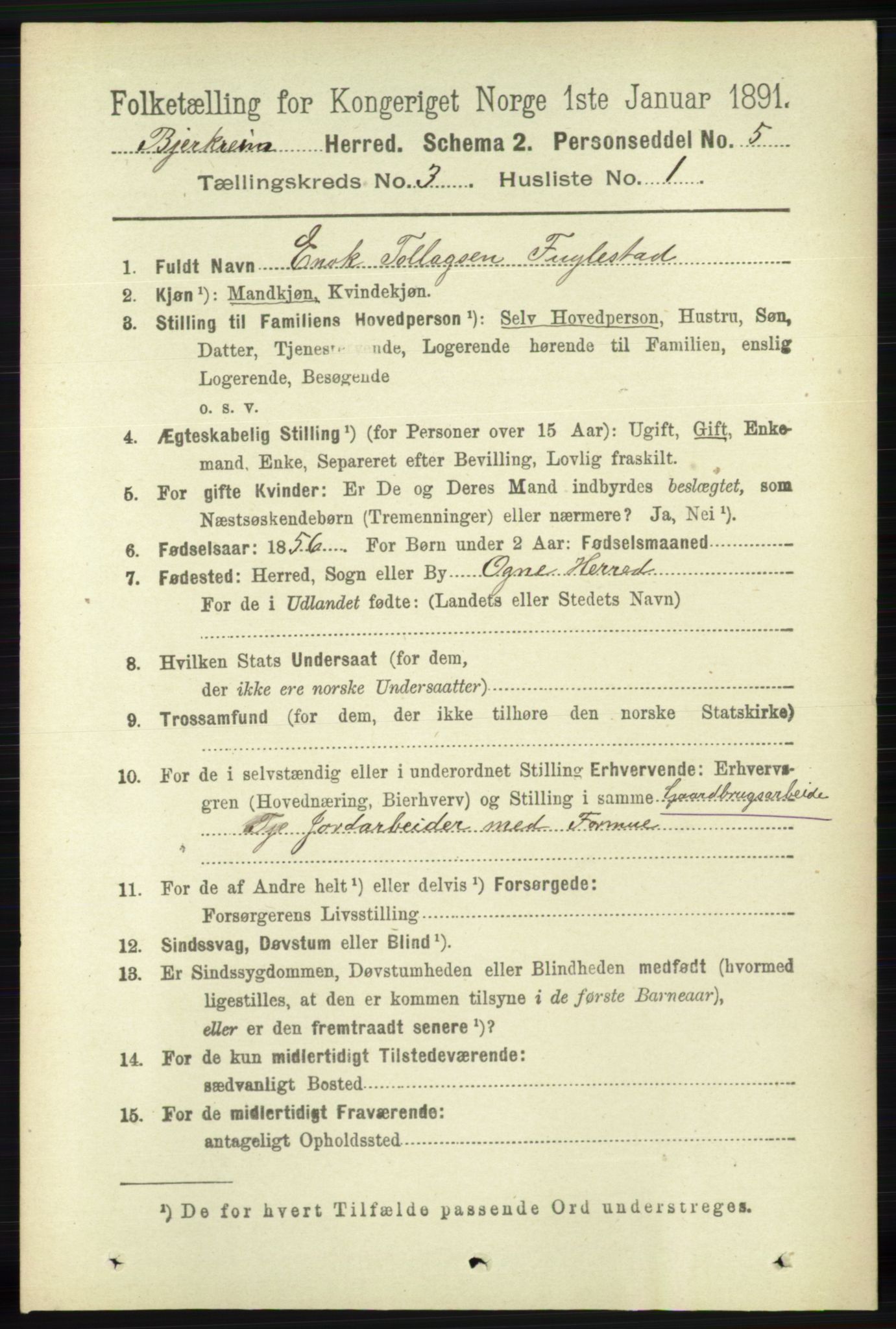 RA, 1891 census for 1114 Bjerkreim, 1891, p. 896