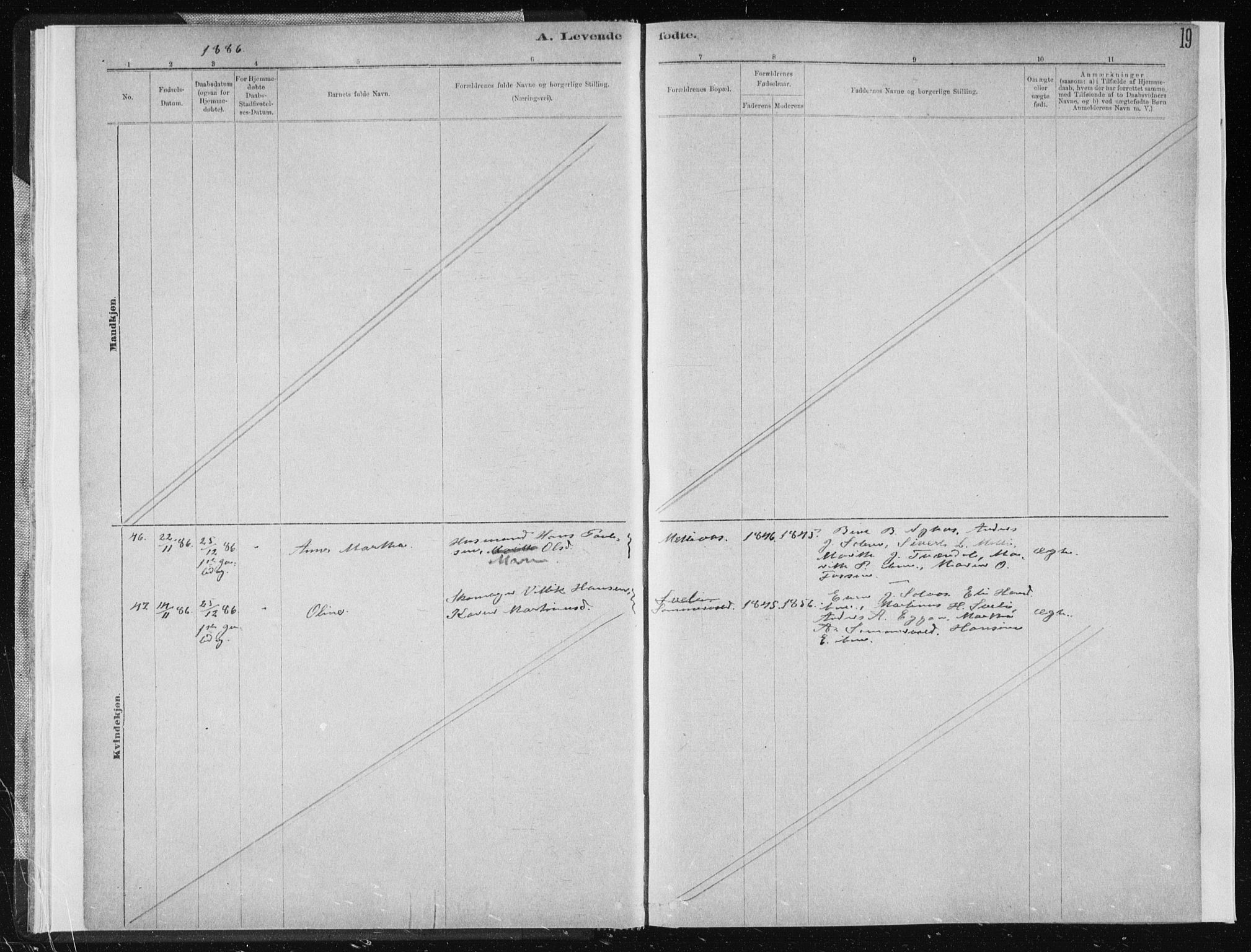 Ministerialprotokoller, klokkerbøker og fødselsregistre - Sør-Trøndelag, AV/SAT-A-1456/668/L0818: Parish register (copy) no. 668C07, 1885-1898, p. 19