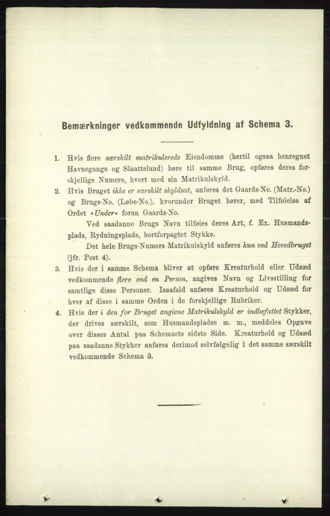 RA, 1891 census for 0544 Øystre Slidre, 1891, p. 1075