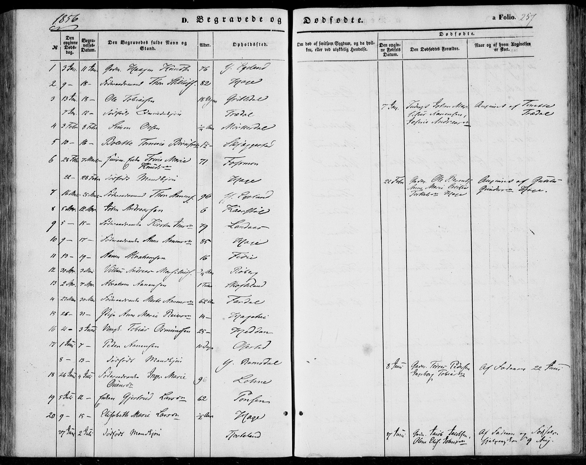 Sør-Audnedal sokneprestkontor, SAK/1111-0039/F/Fa/Fab/L0007: Parish register (official) no. A 7, 1855-1876, p. 257