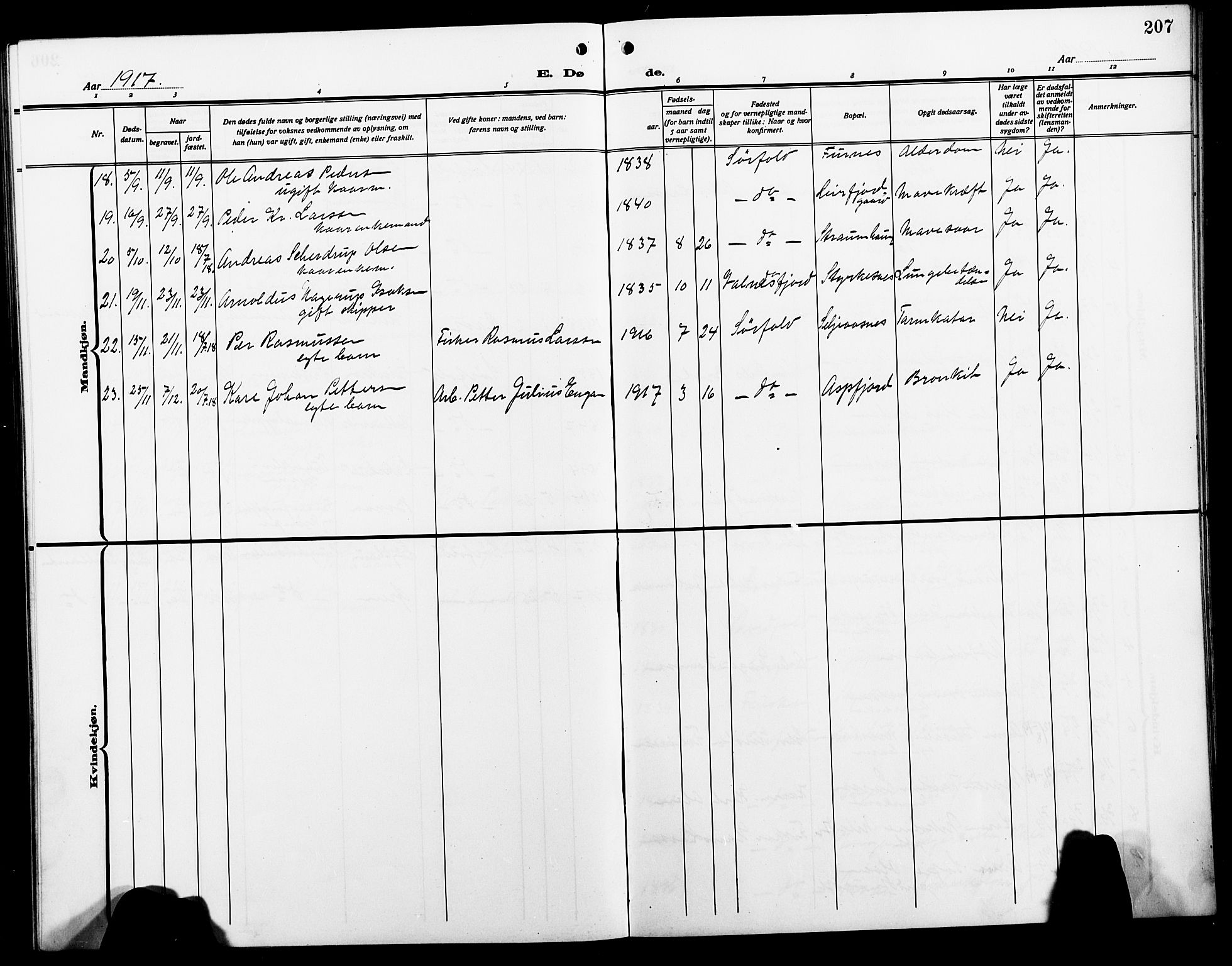 Ministerialprotokoller, klokkerbøker og fødselsregistre - Nordland, AV/SAT-A-1459/854/L0787: Parish register (copy) no. 854C03, 1913-1926, p. 207