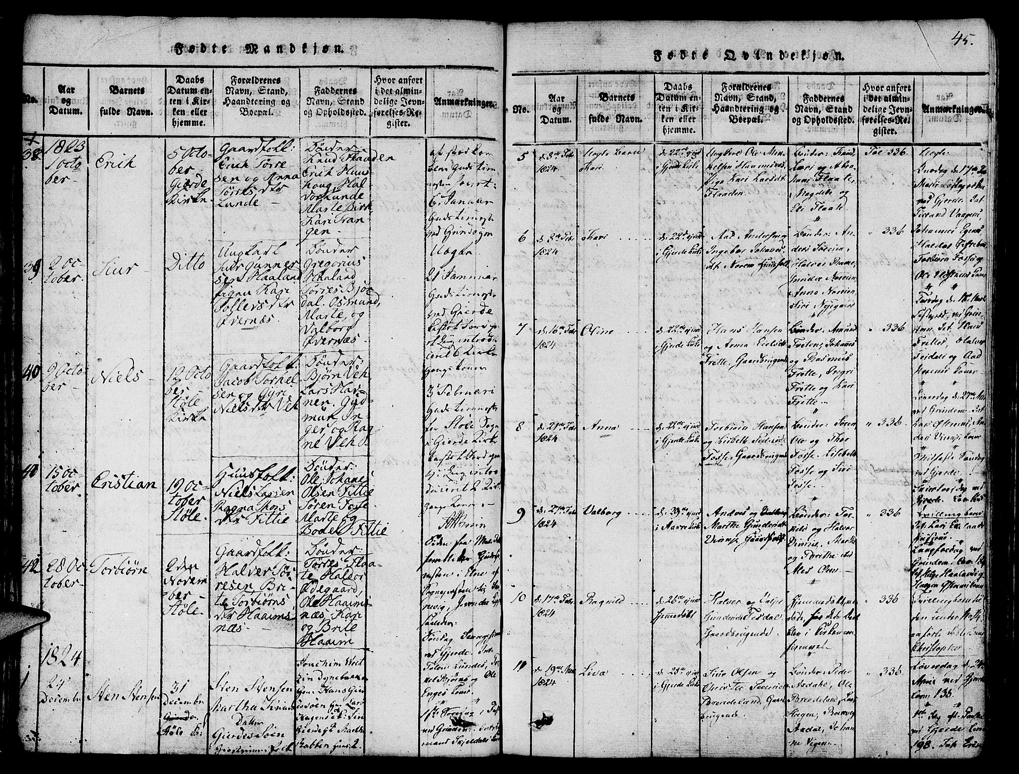 Etne sokneprestembete, AV/SAB-A-75001/H/Haa: Parish register (official) no. A 6, 1815-1831, p. 45