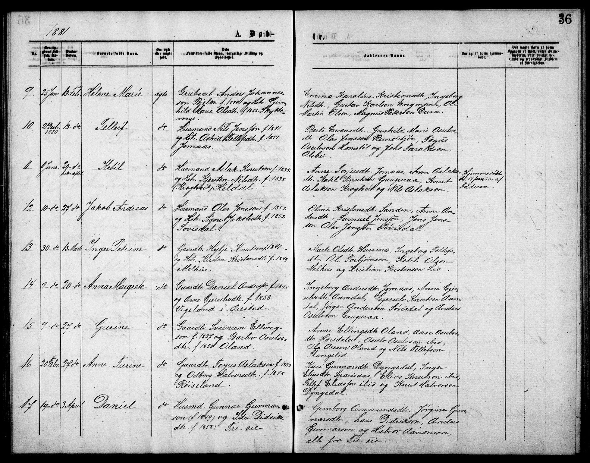 Froland sokneprestkontor, SAK/1111-0013/F/Fb/L0009: Parish register (copy) no. B 9, 1875-1893, p. 36