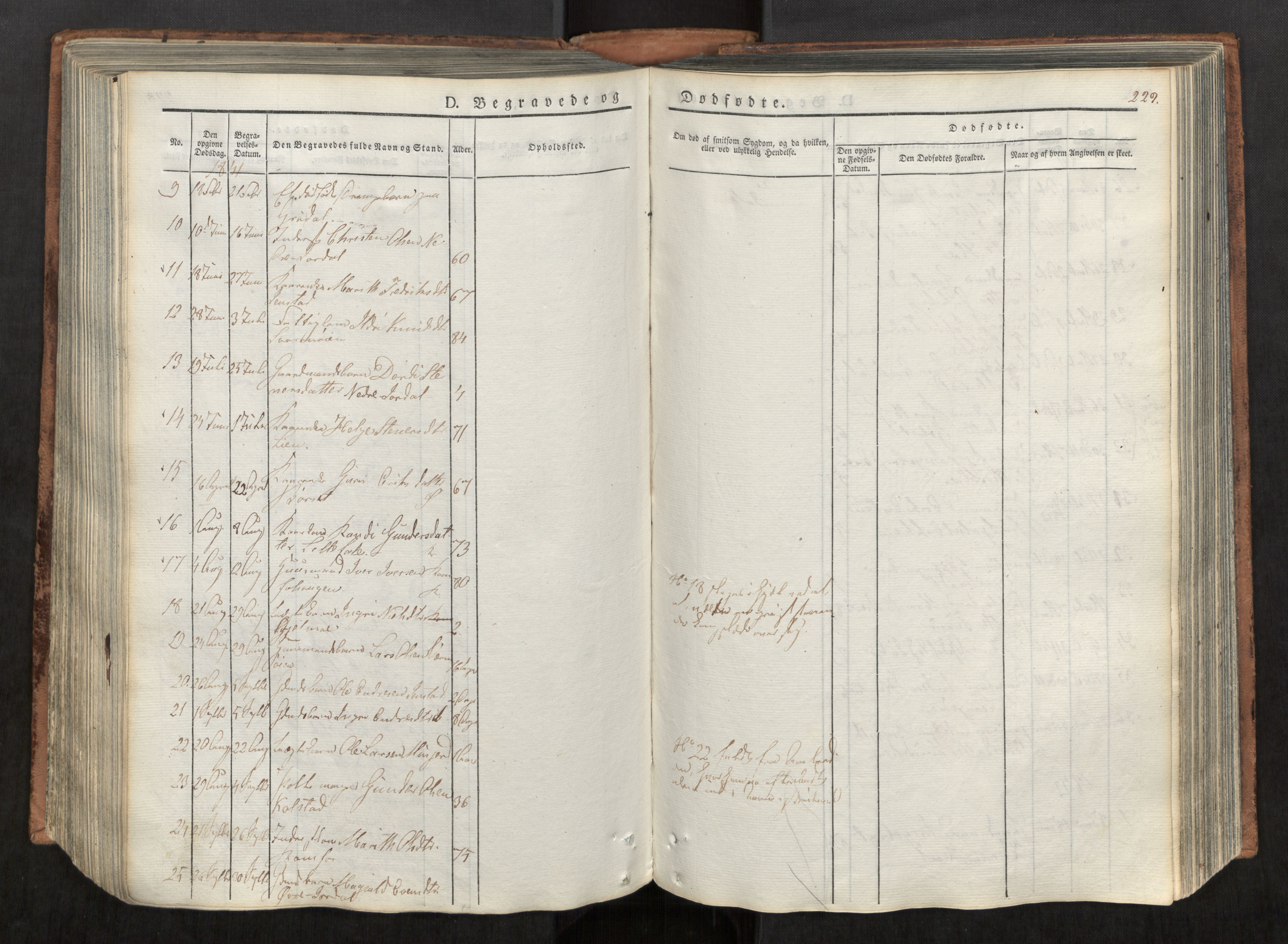 Ministerialprotokoller, klokkerbøker og fødselsregistre - Møre og Romsdal, AV/SAT-A-1454/590/L1012: Parish register (official) no. 590A04, 1832-1846, p. 229