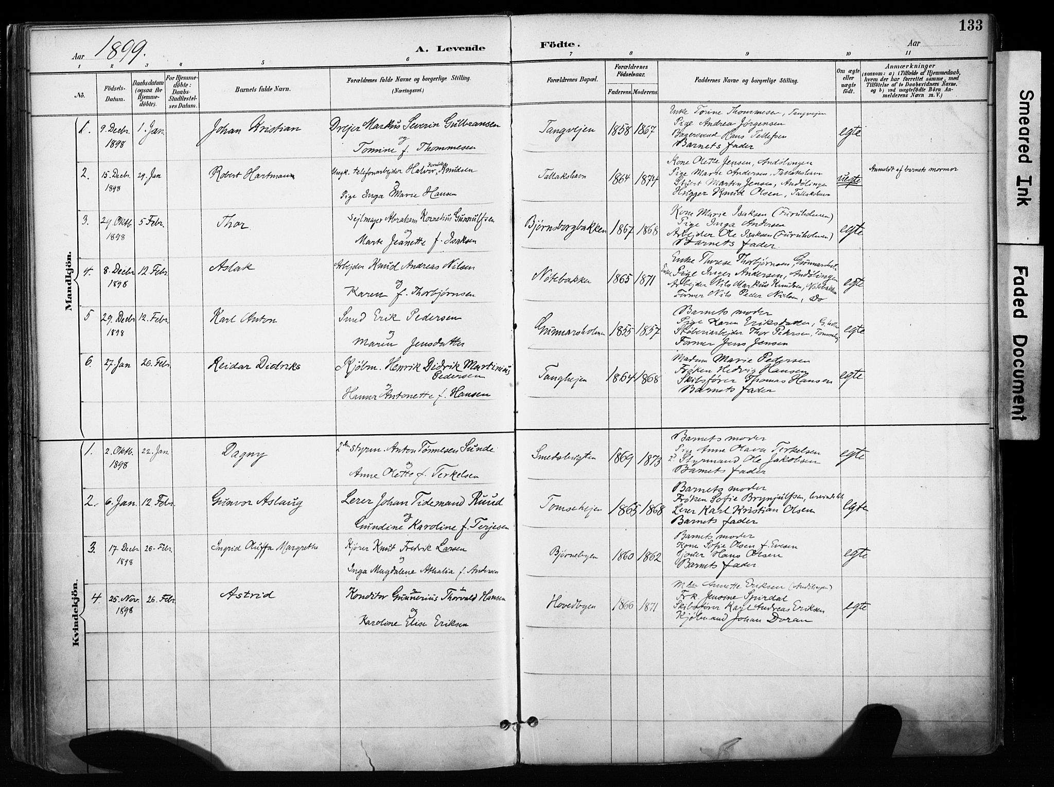 Kragerø kirkebøker, SAKO/A-278/F/Fa/L0013: Parish register (official) no. 13, 1887-1915, p. 133