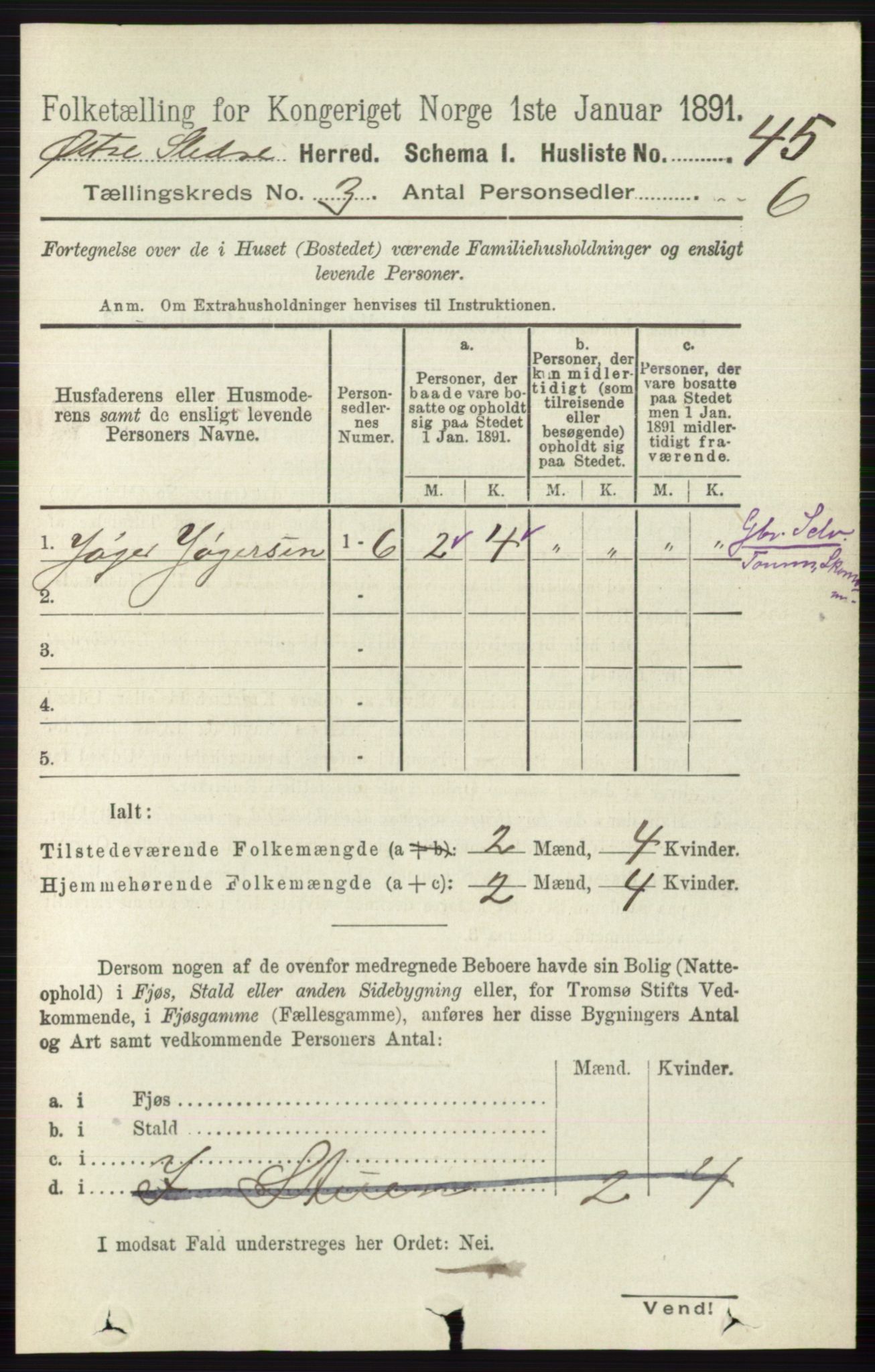 RA, 1891 census for 0544 Øystre Slidre, 1891, p. 594