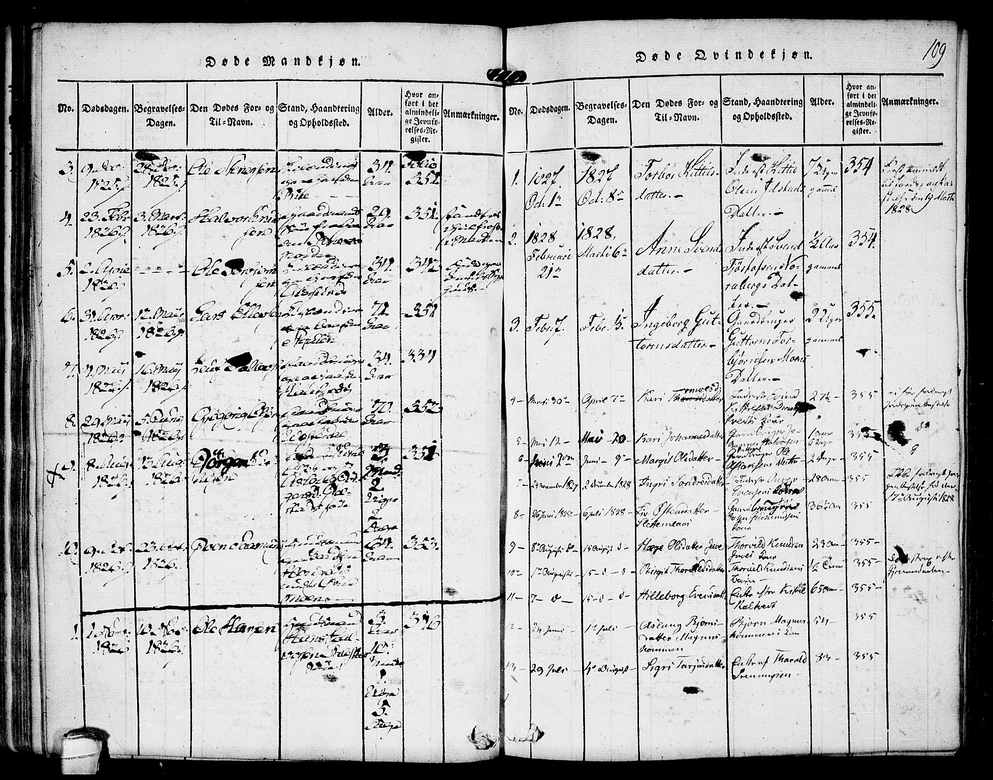 Kviteseid kirkebøker, SAKO/A-276/F/Fb/L0001: Parish register (official) no. II 1, 1815-1836, p. 109