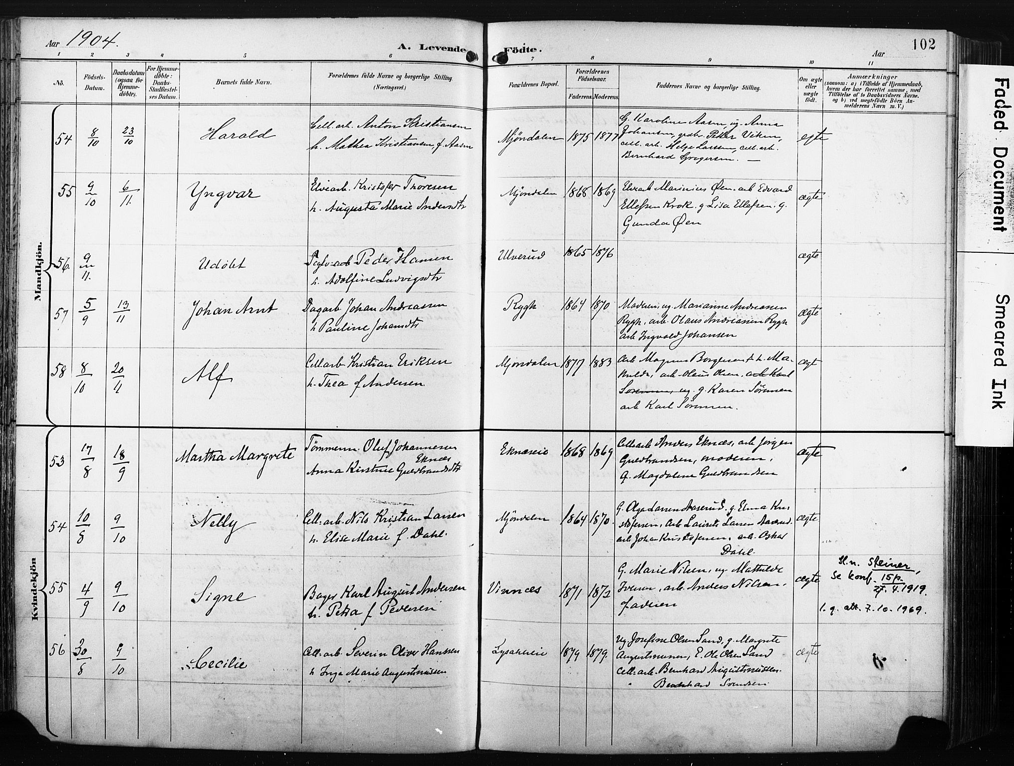 Nedre Eiker kirkebøker, SAKO/A-612/F/Fa/L0005: Parish register (official) no. 5, 1898-1905, p. 102