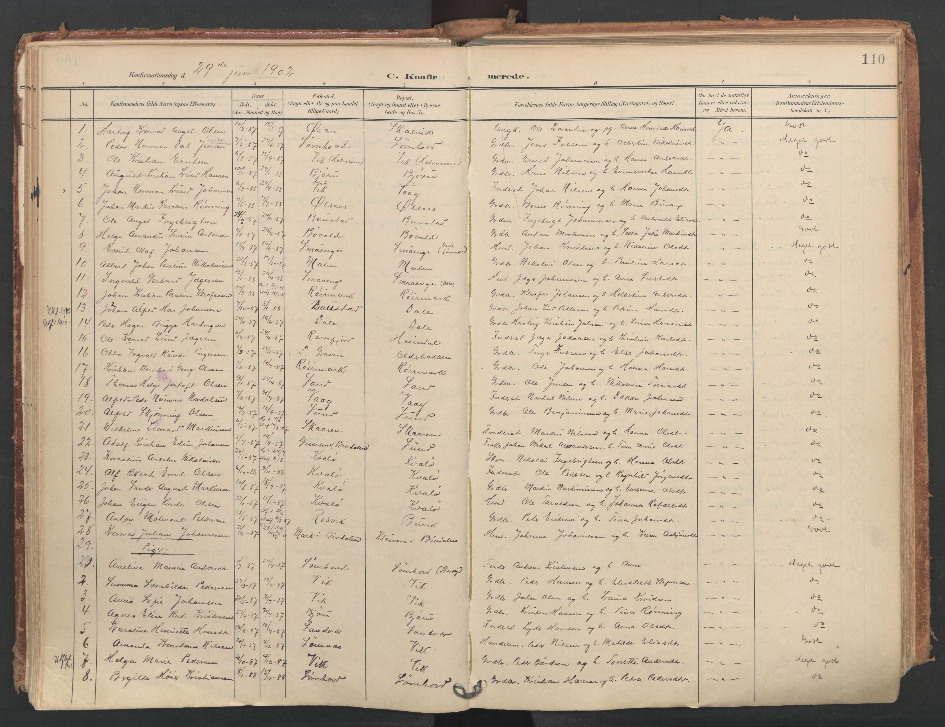 Ministerialprotokoller, klokkerbøker og fødselsregistre - Nordland, AV/SAT-A-1459/812/L0180: Parish register (official) no. 812A09, 1901-1915, p. 110