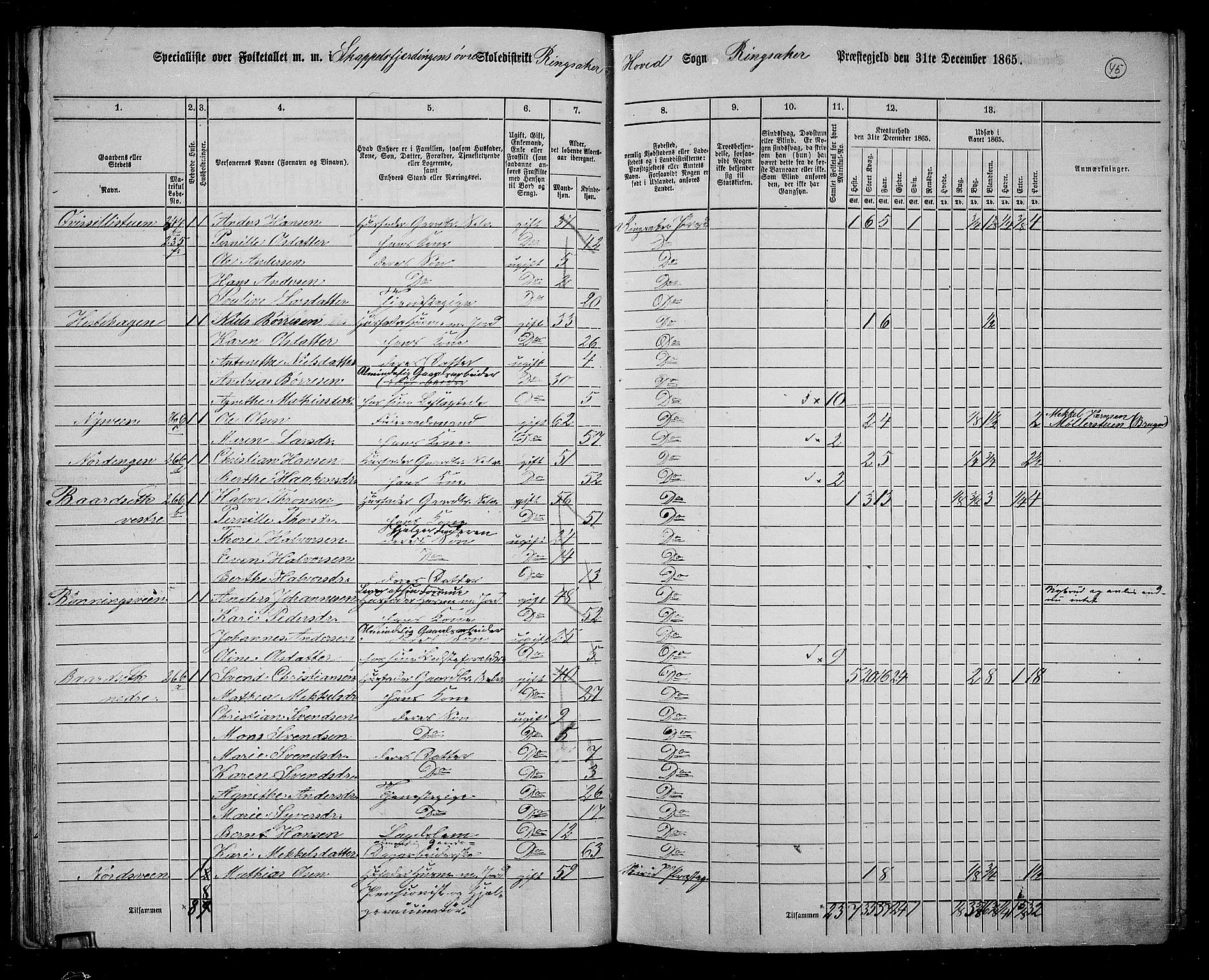 RA, 1865 census for Ringsaker, 1865, p. 302
