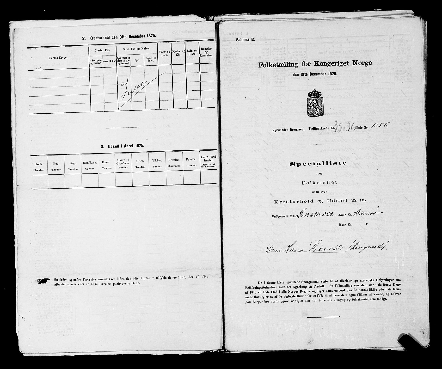 SAKO, 1875 census for 0602 Drammen, 1875, p. 3064