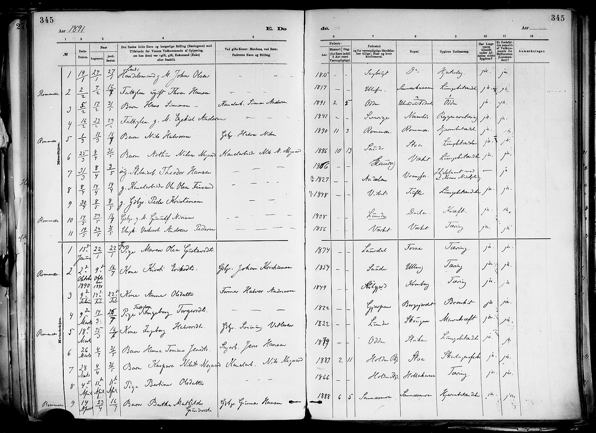 Holla kirkebøker, SAKO/A-272/F/Fa/L0008: Parish register (official) no. 8, 1882-1897, p. 345