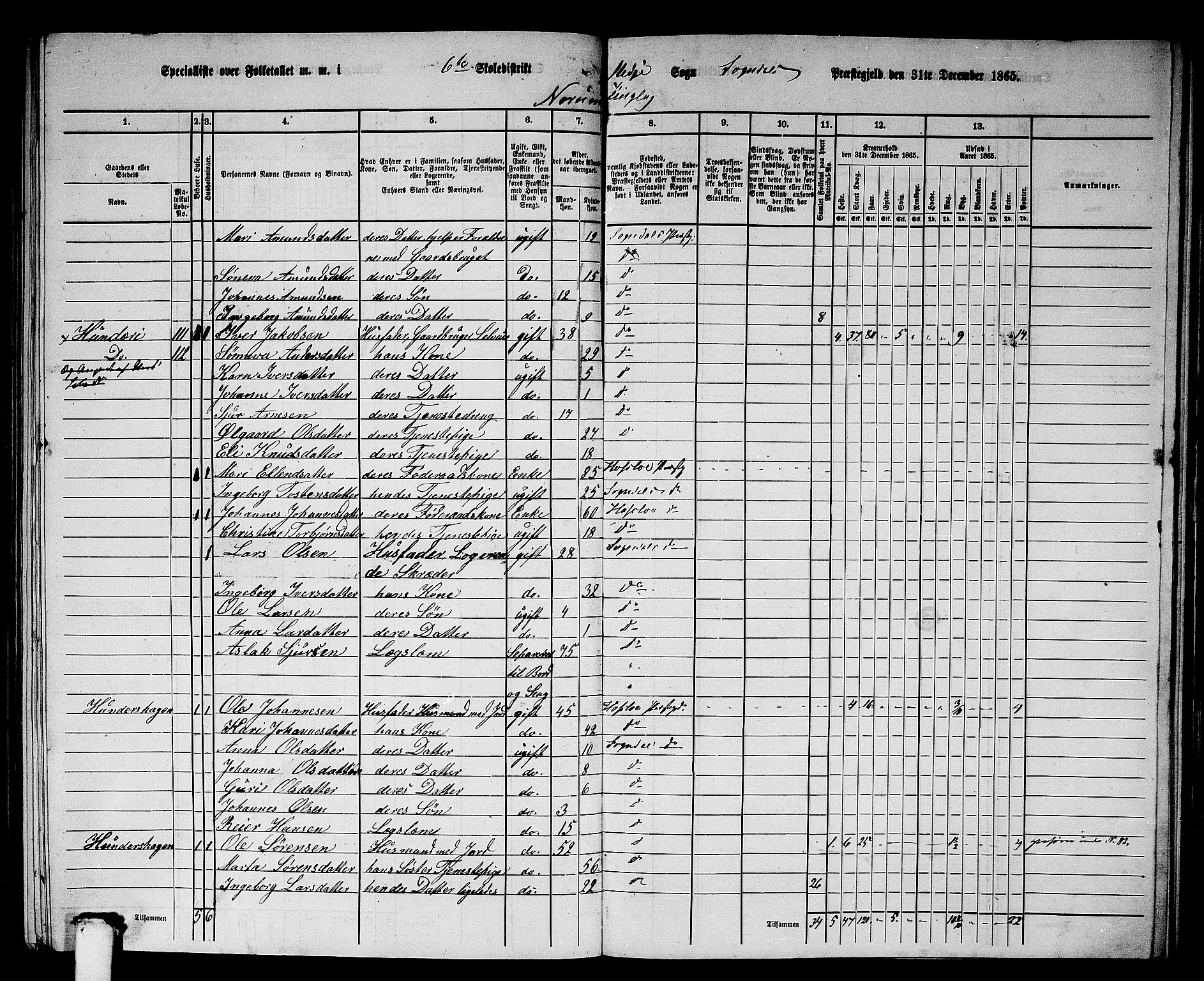 RA, 1865 census for Sogndal, 1865, p. 113