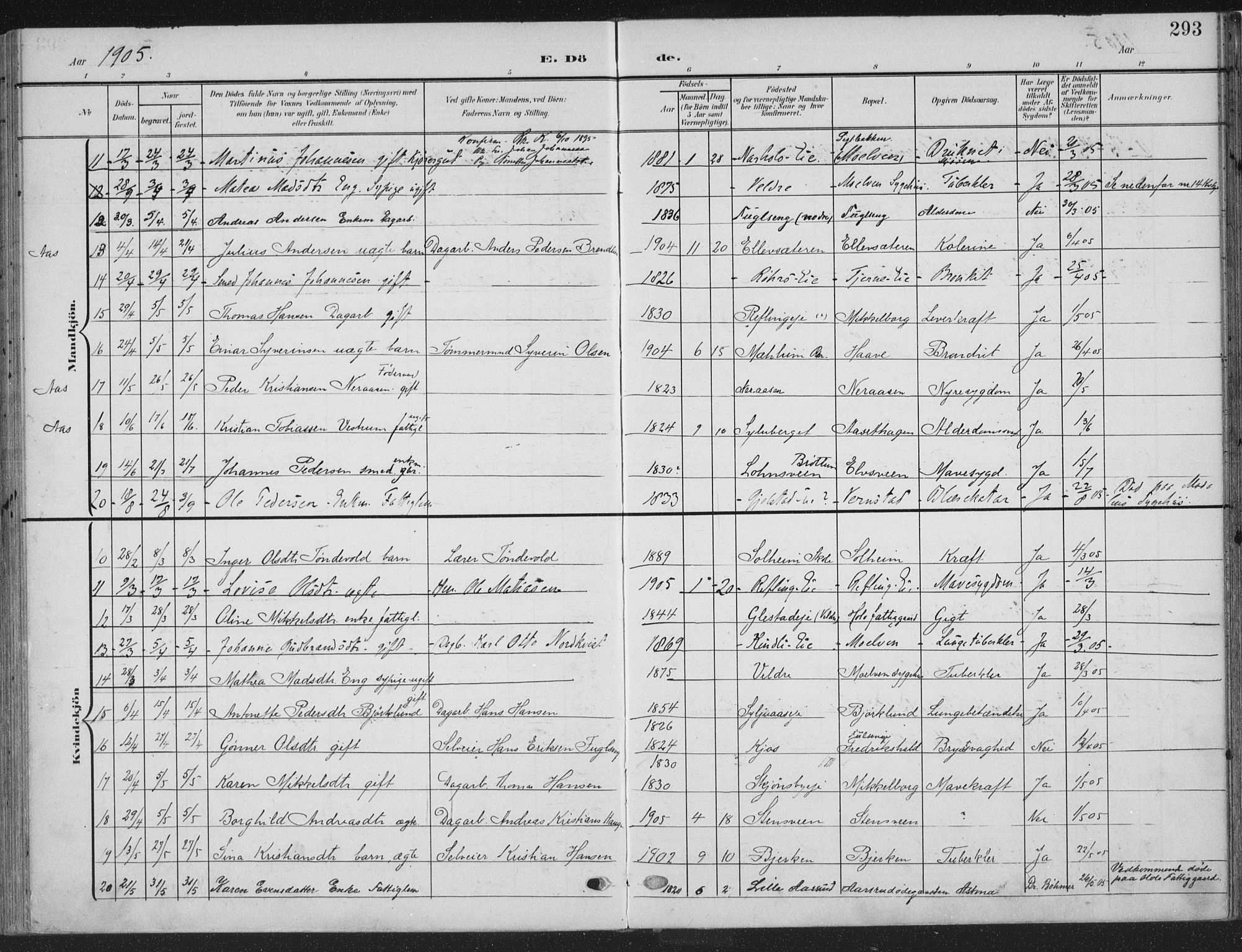 Ringsaker prestekontor, AV/SAH-PREST-014/K/Ka/L0018: Parish register (official) no. 18, 1903-1912, p. 293