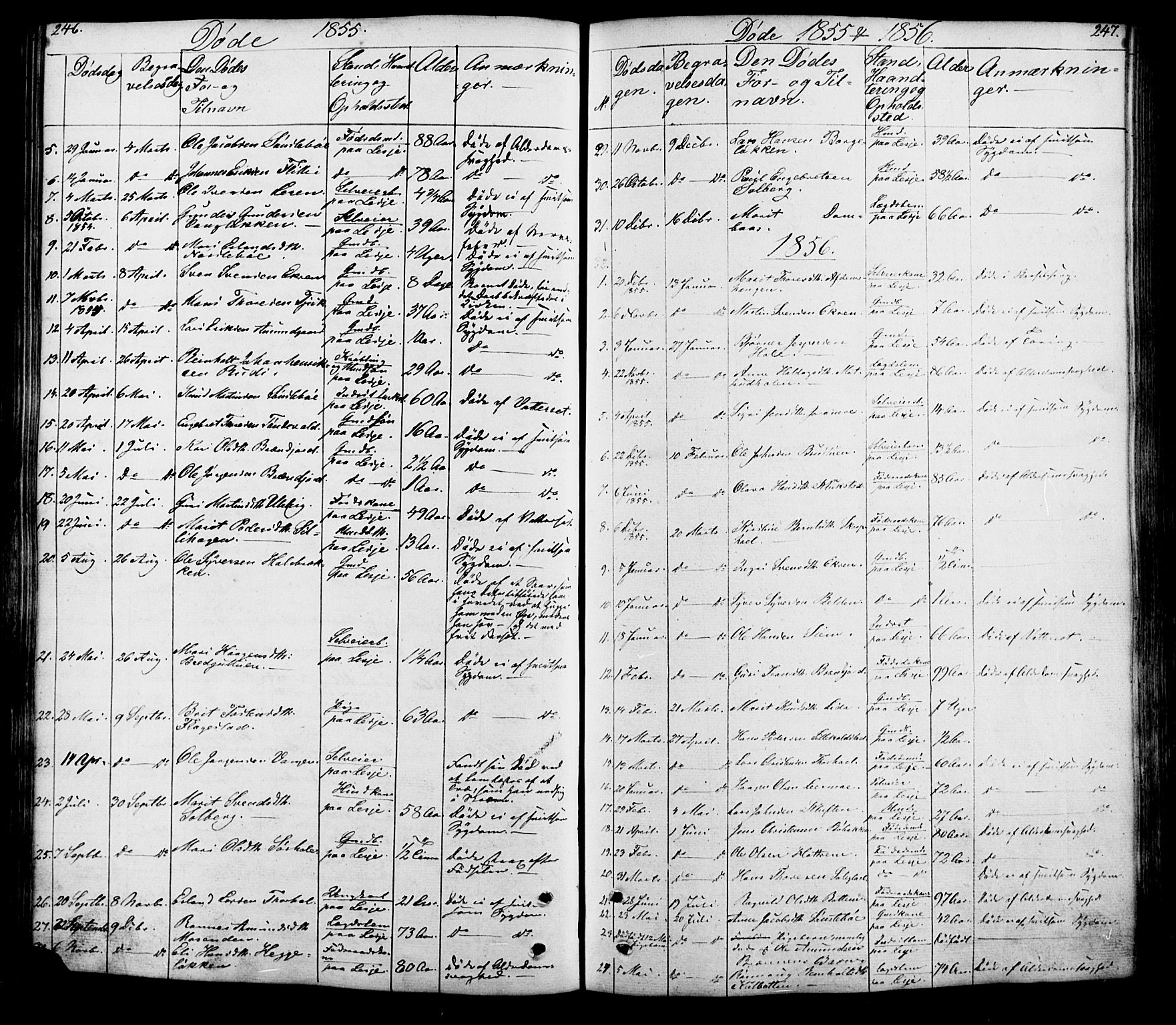 Lesja prestekontor, SAH/PREST-068/H/Ha/Hab/L0005: Parish register (copy) no. 5, 1850-1894, p. 246-247
