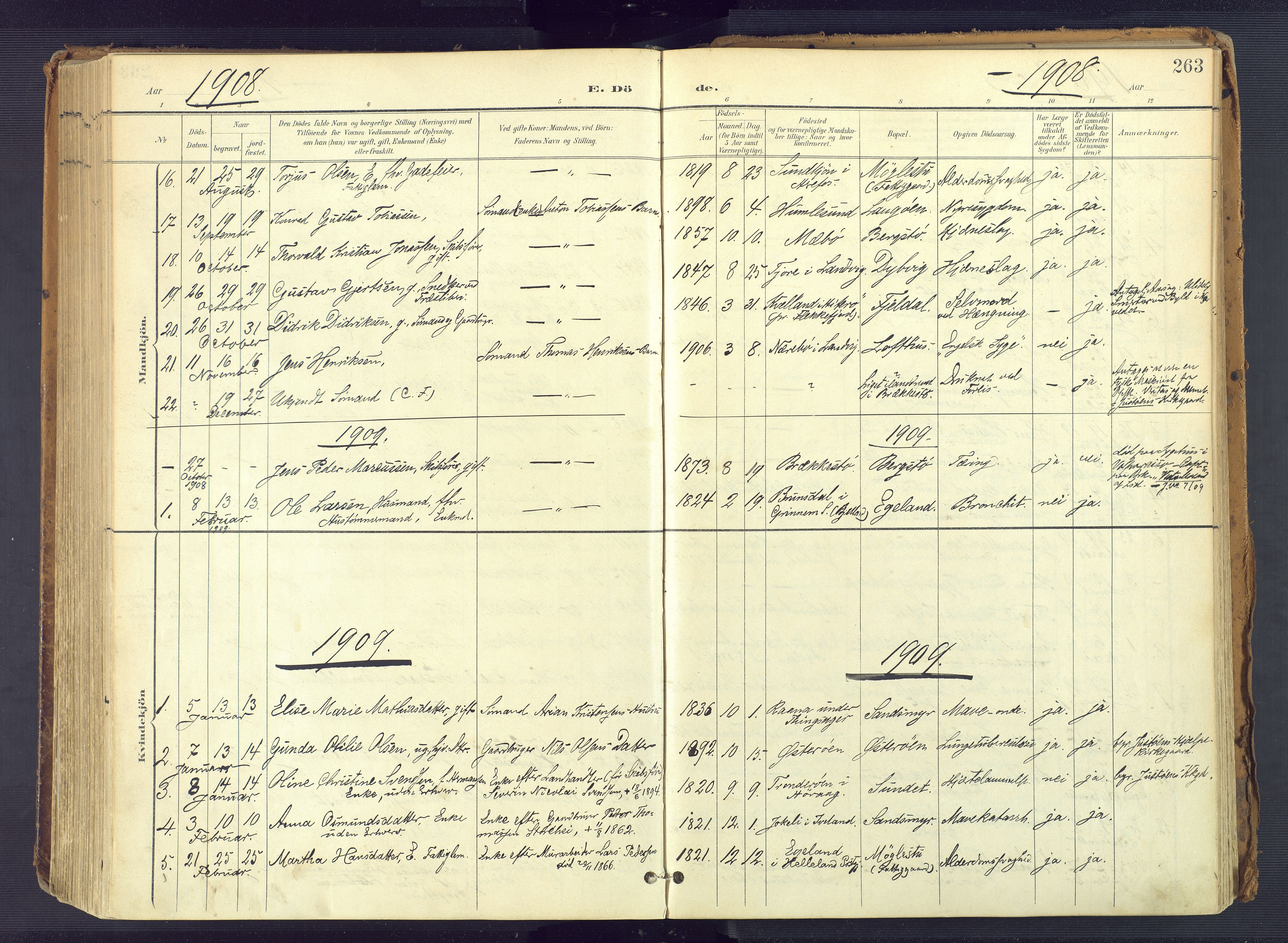 Vestre Moland sokneprestkontor, SAK/1111-0046/F/Fa/Fab/L0010: Parish register (official) no. A 10, 1900-1926, p. 263