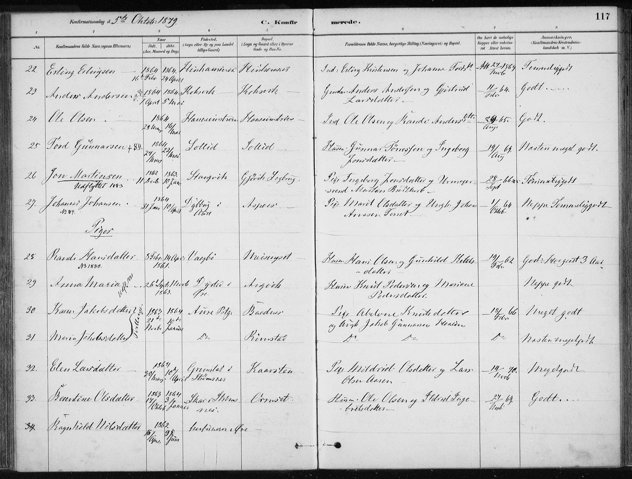 Ministerialprotokoller, klokkerbøker og fødselsregistre - Møre og Romsdal, AV/SAT-A-1454/586/L0987: Parish register (official) no. 586A13, 1879-1892, p. 117