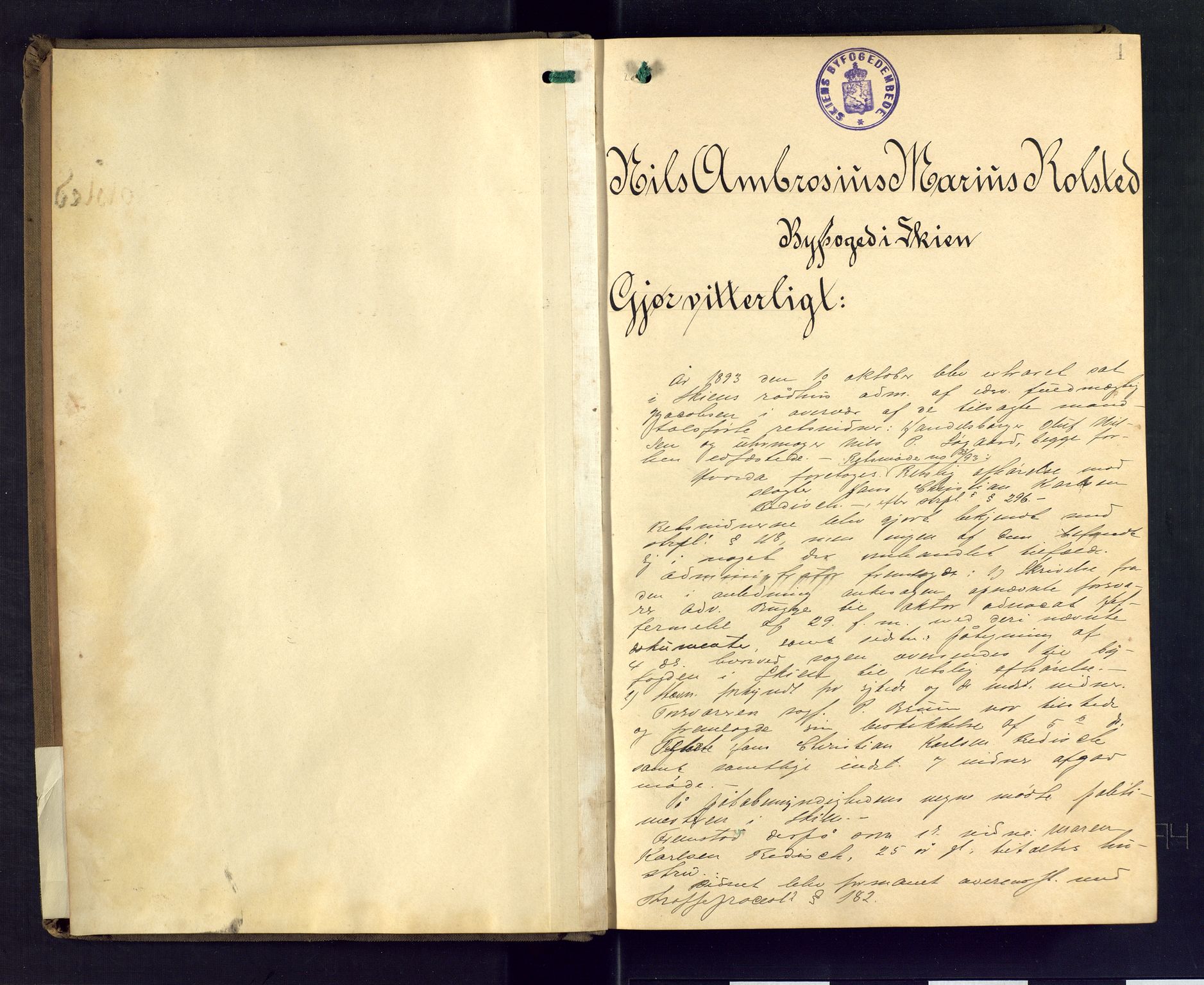 Skien byfogd, AV/SAKO-A-219/F/Fb/L0010: Forhørsprotokoll, 1893-1894, p. 1
