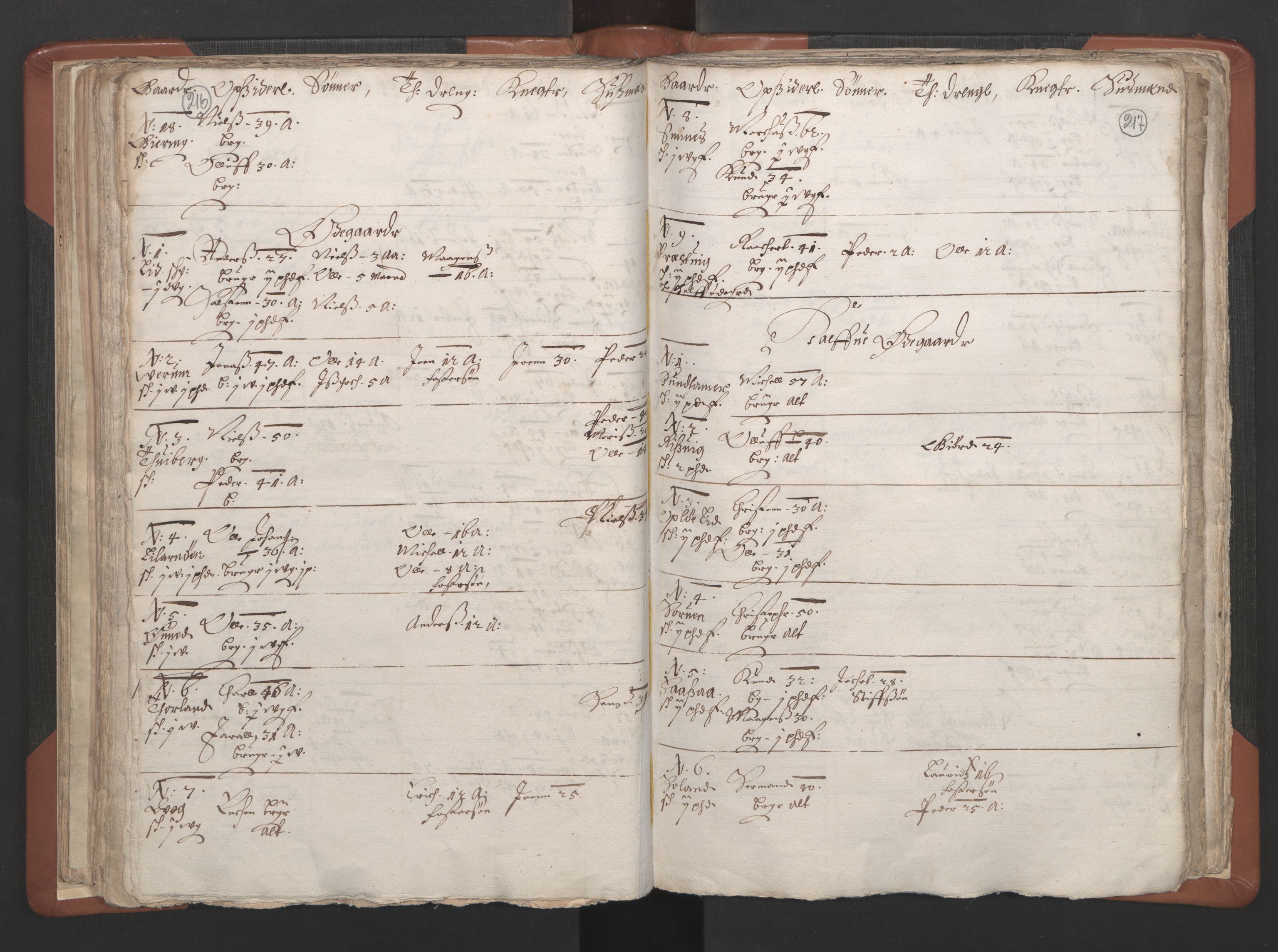 RA, Vicar's Census 1664-1666, no. 34: Namdal deanery, 1664-1666, p. 216-217