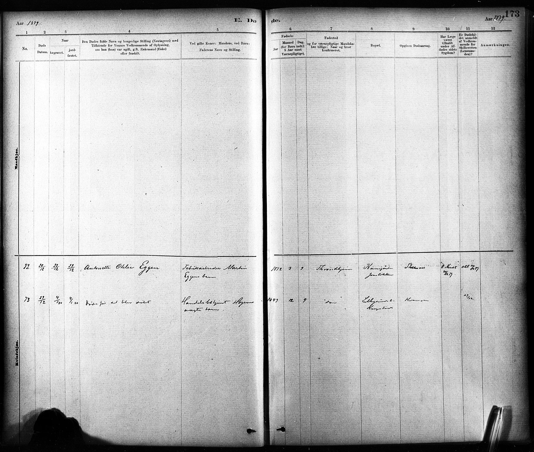Ministerialprotokoller, klokkerbøker og fødselsregistre - Sør-Trøndelag, SAT/A-1456/604/L0189: Parish register (official) no. 604A10, 1878-1892, p. 173