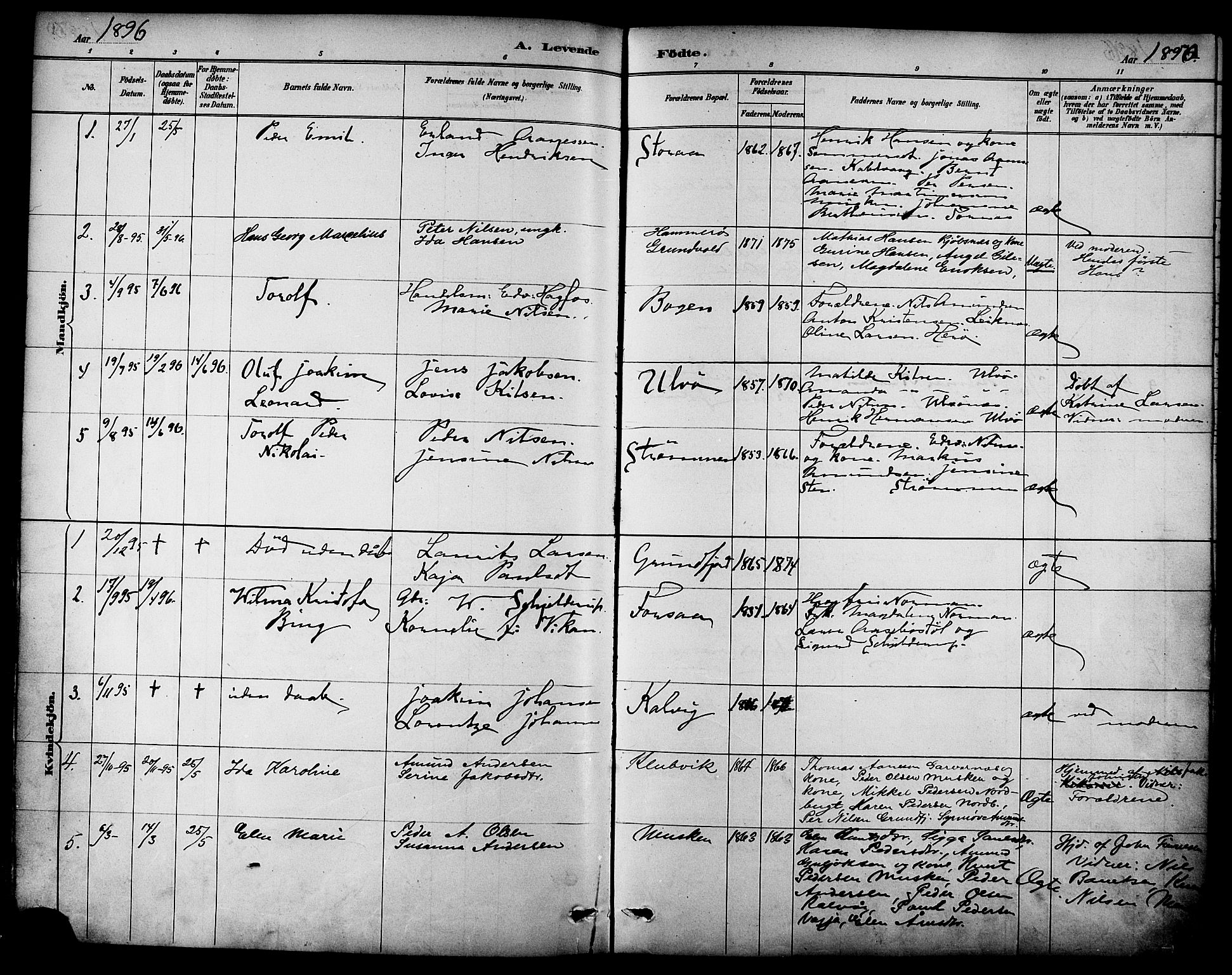 Ministerialprotokoller, klokkerbøker og fødselsregistre - Nordland, AV/SAT-A-1459/861/L0869: Parish register (official) no. 861A04, 1889-1903, p. 71