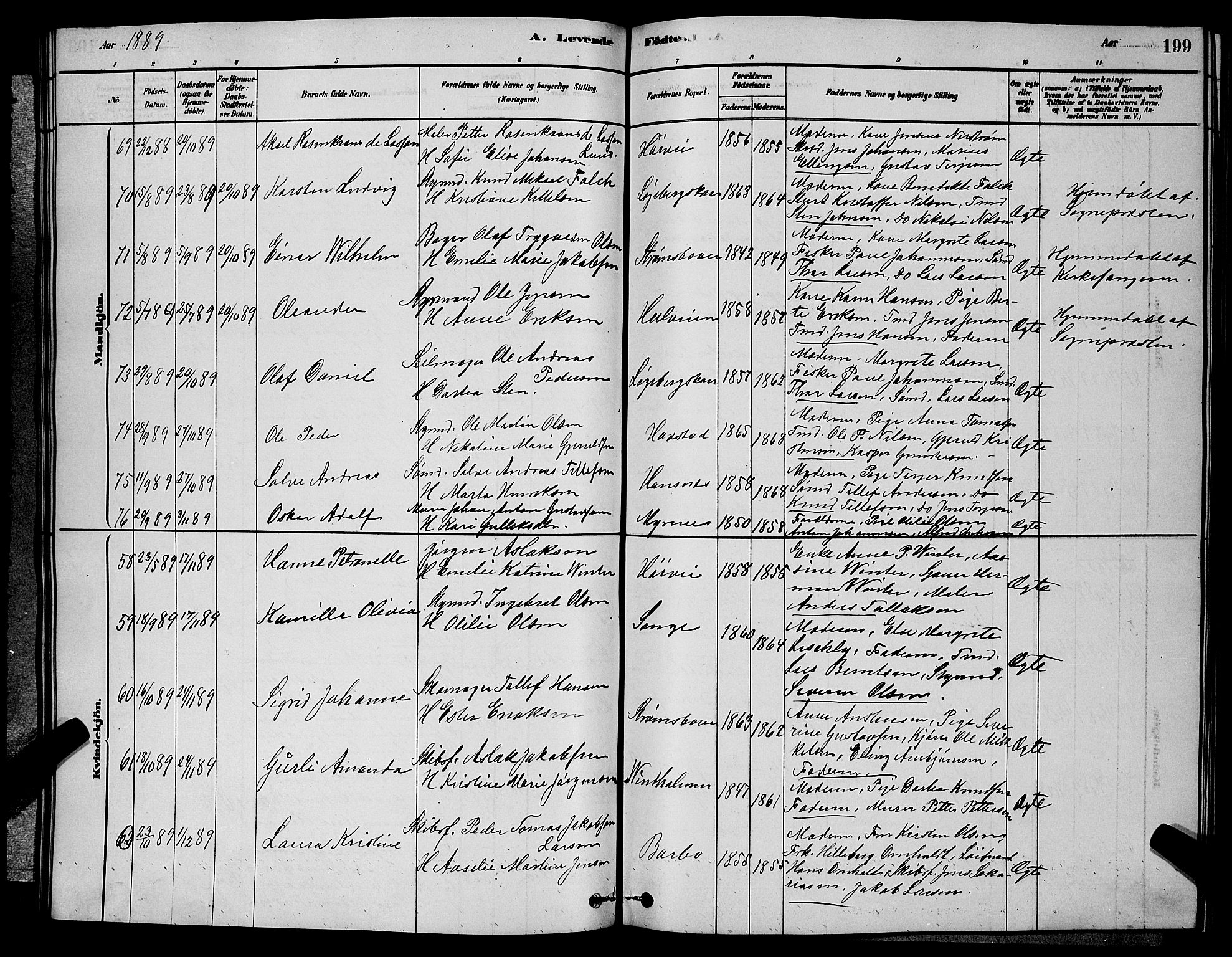 Barbu sokneprestkontor, AV/SAK-1111-0003/F/Fb/L0001: Parish register (copy) no. B 1, 1878-1890, p. 199